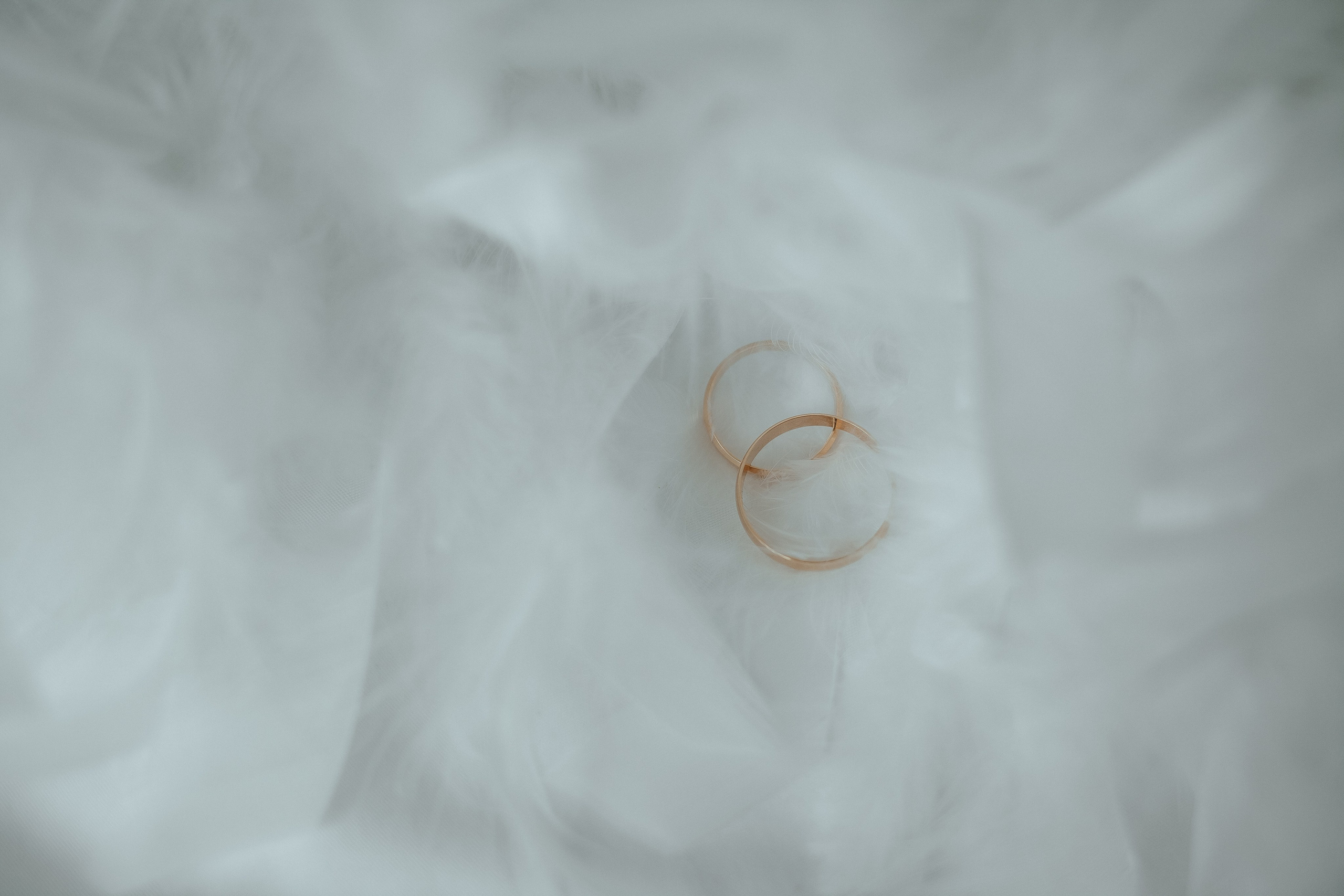 N & J. Фотограф Ольга Сапронова. Свадебный фотограф Ольга Сапронова