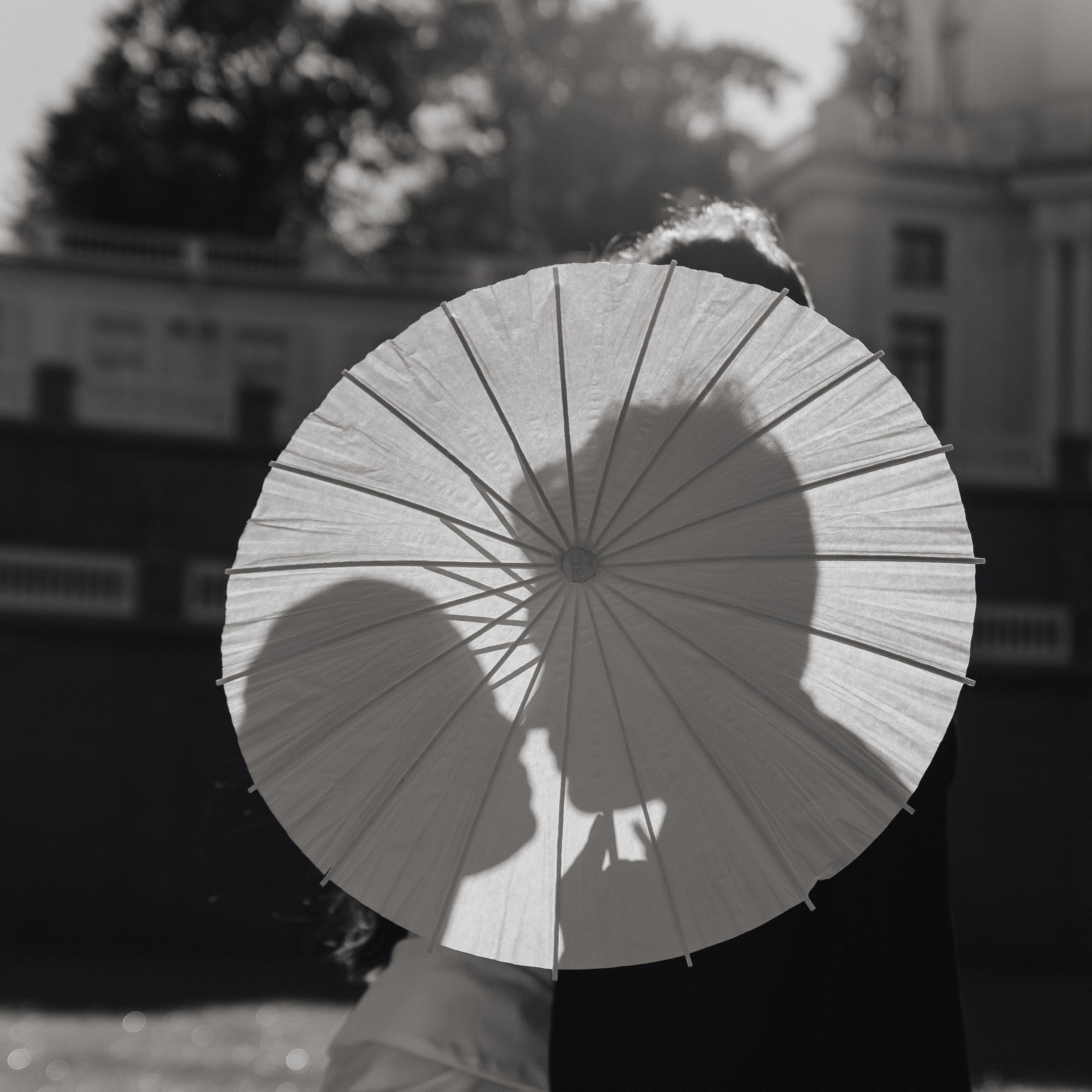 Ораниенбаум / 2024. Фотограф СПб