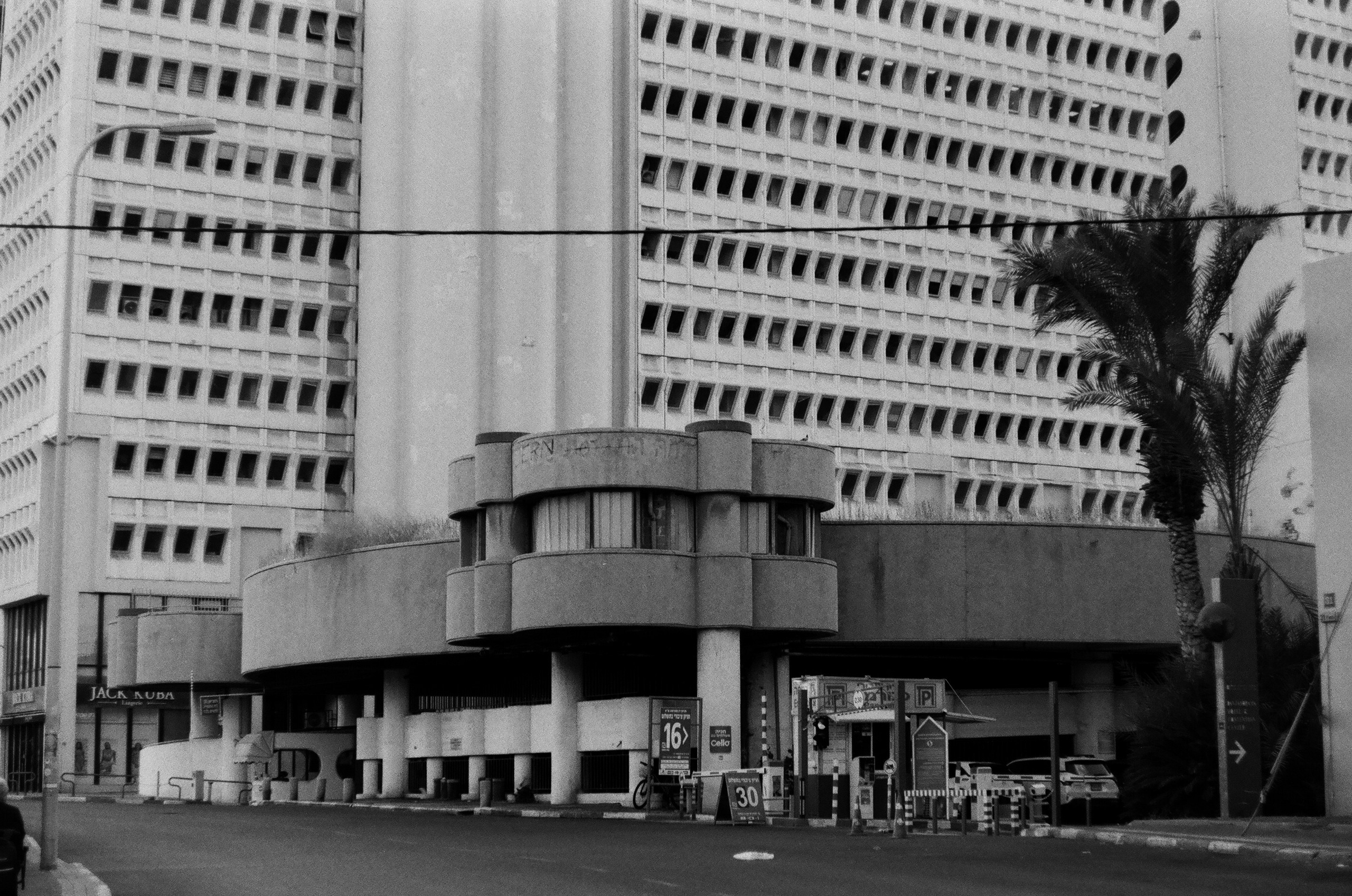 Israel 2025. Свадебный и портретный фотограф в Санкт-Петербурге