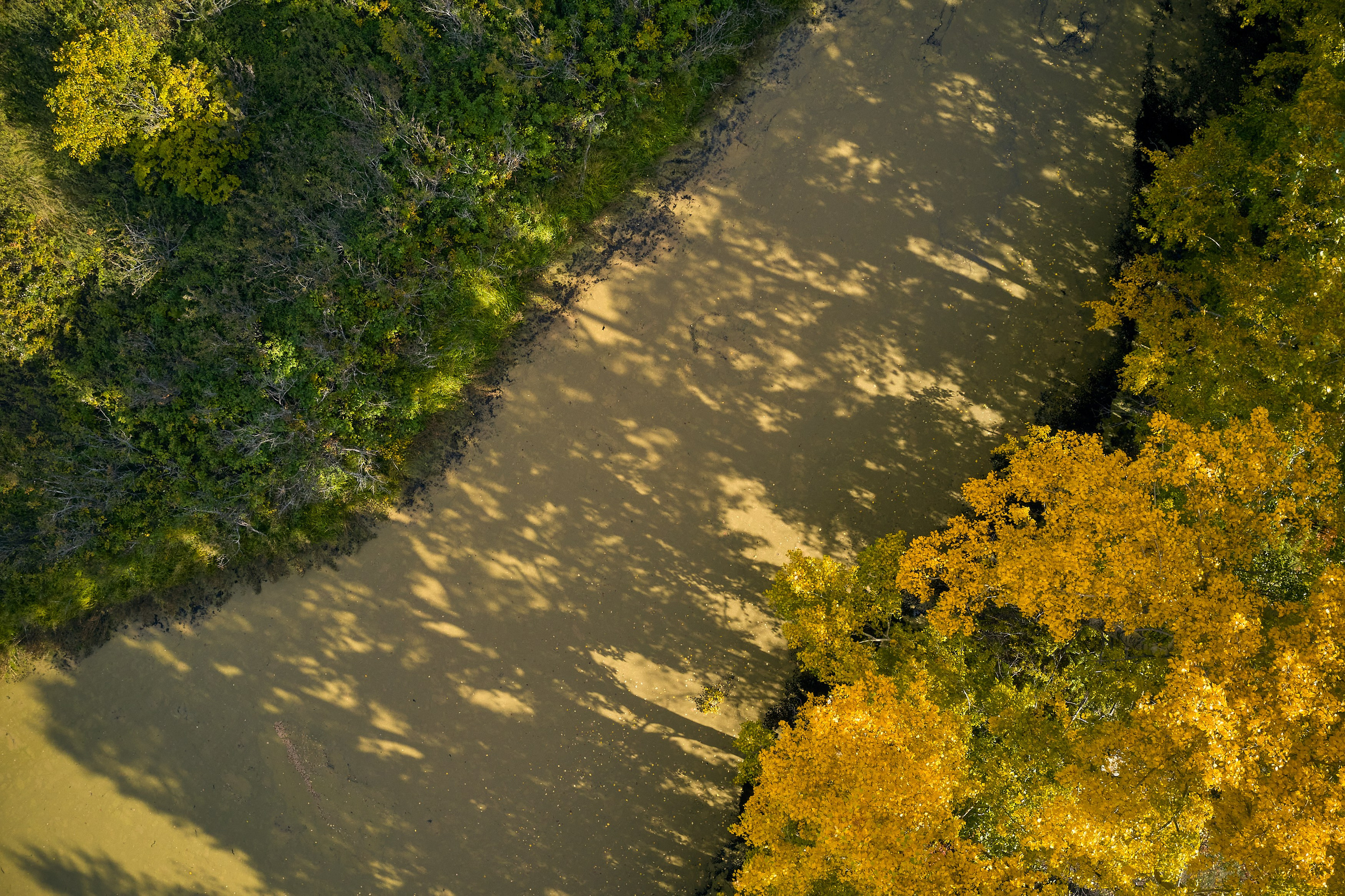 Съемка в полете. DMITRY MOISEENKO — фотограф, художник, топ-стилист