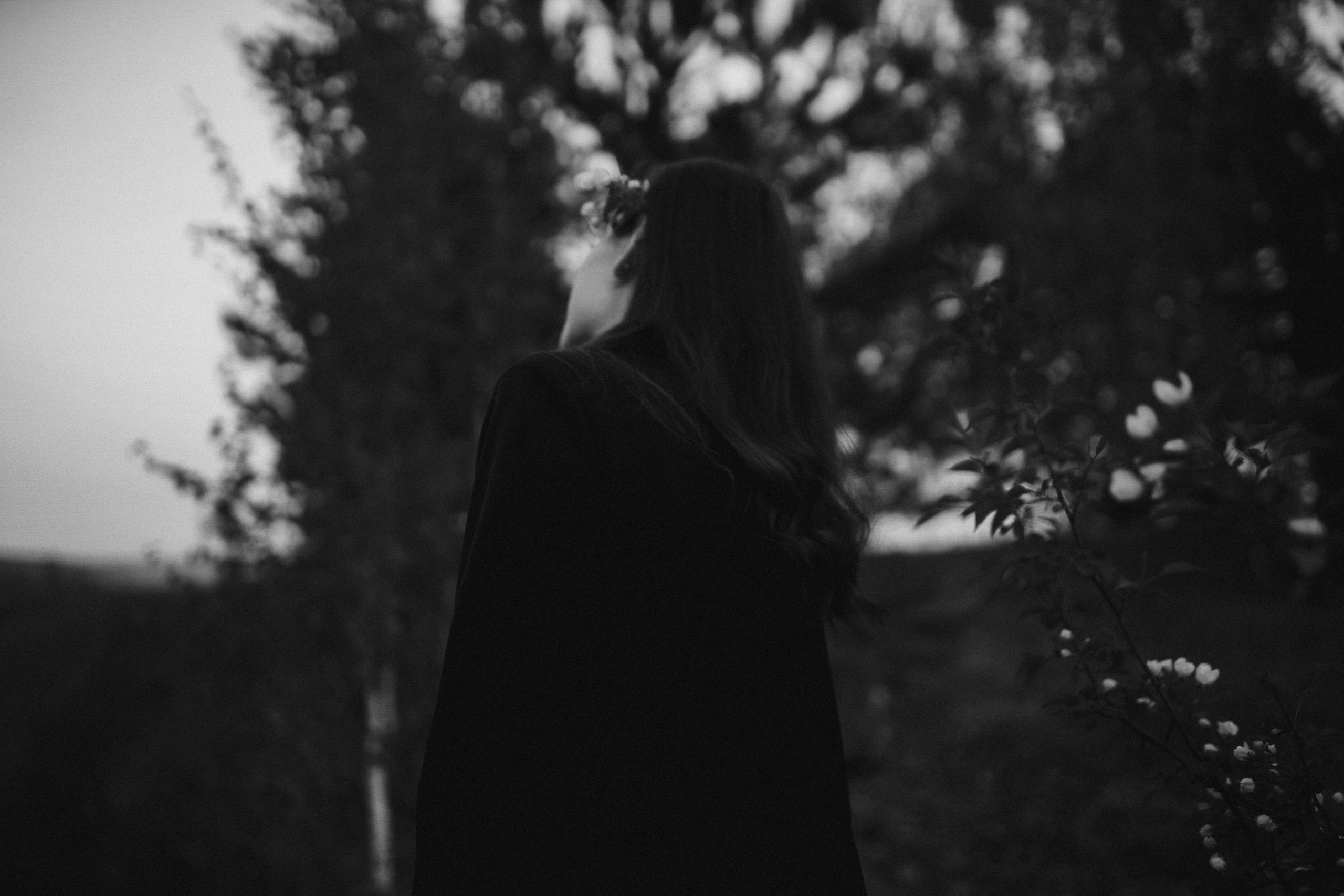 Первый рассвет