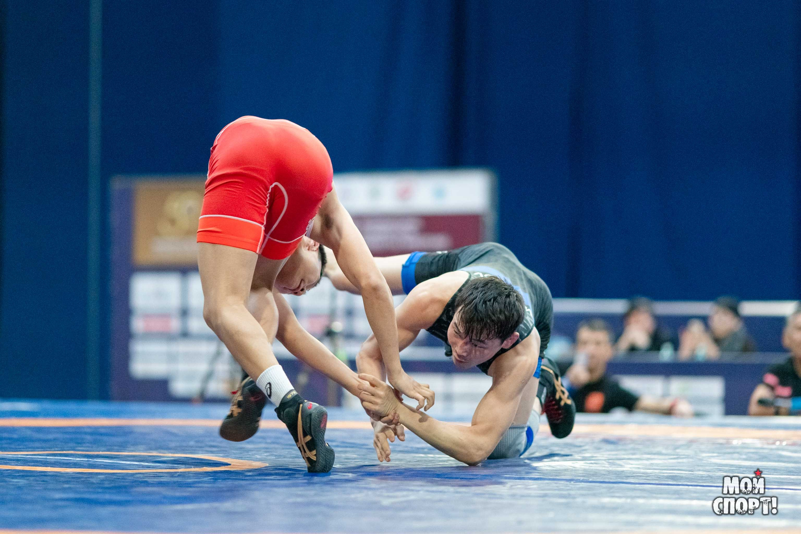 XII Международные соревнования по спортивной борьбе пам. Р. М. Дмитриева. Студия «Мой Спорт!» — все о спорте в Якутии