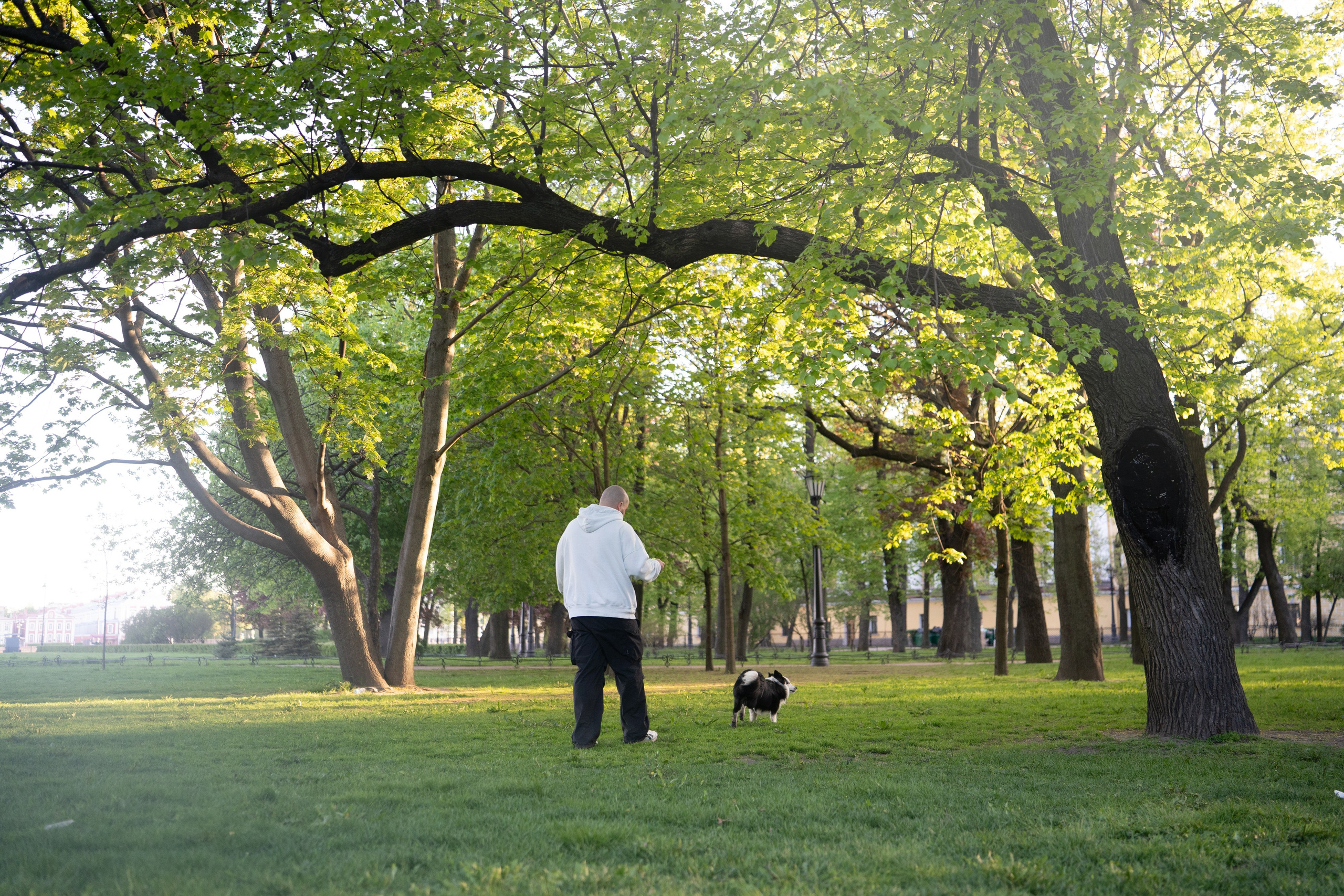 Таня, Дима и Чейси. Фотограф анималист в Москве и Санкт-Петербурге Свиридова Анна