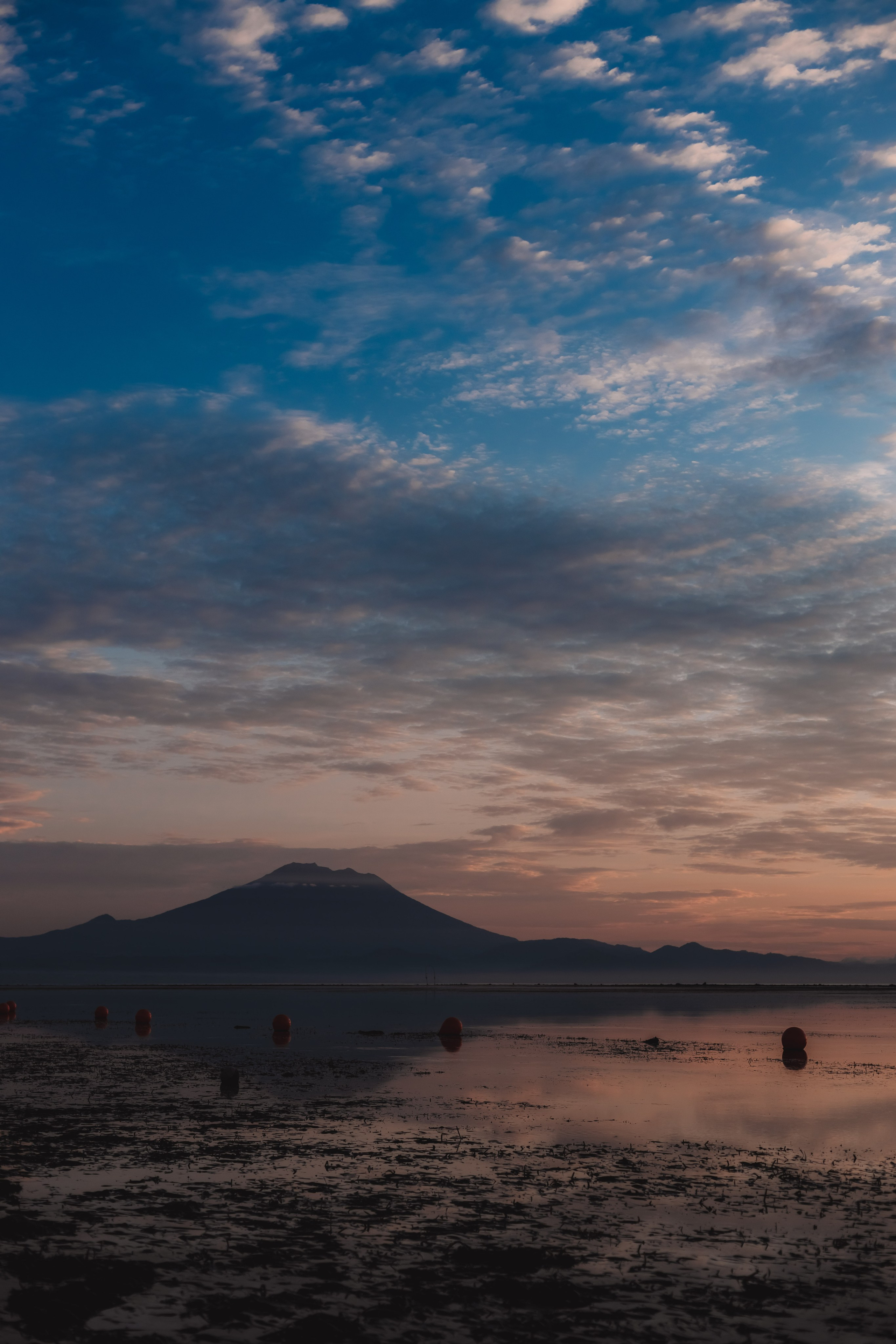 Mo(Bo)rning. Мариам Багдасарян