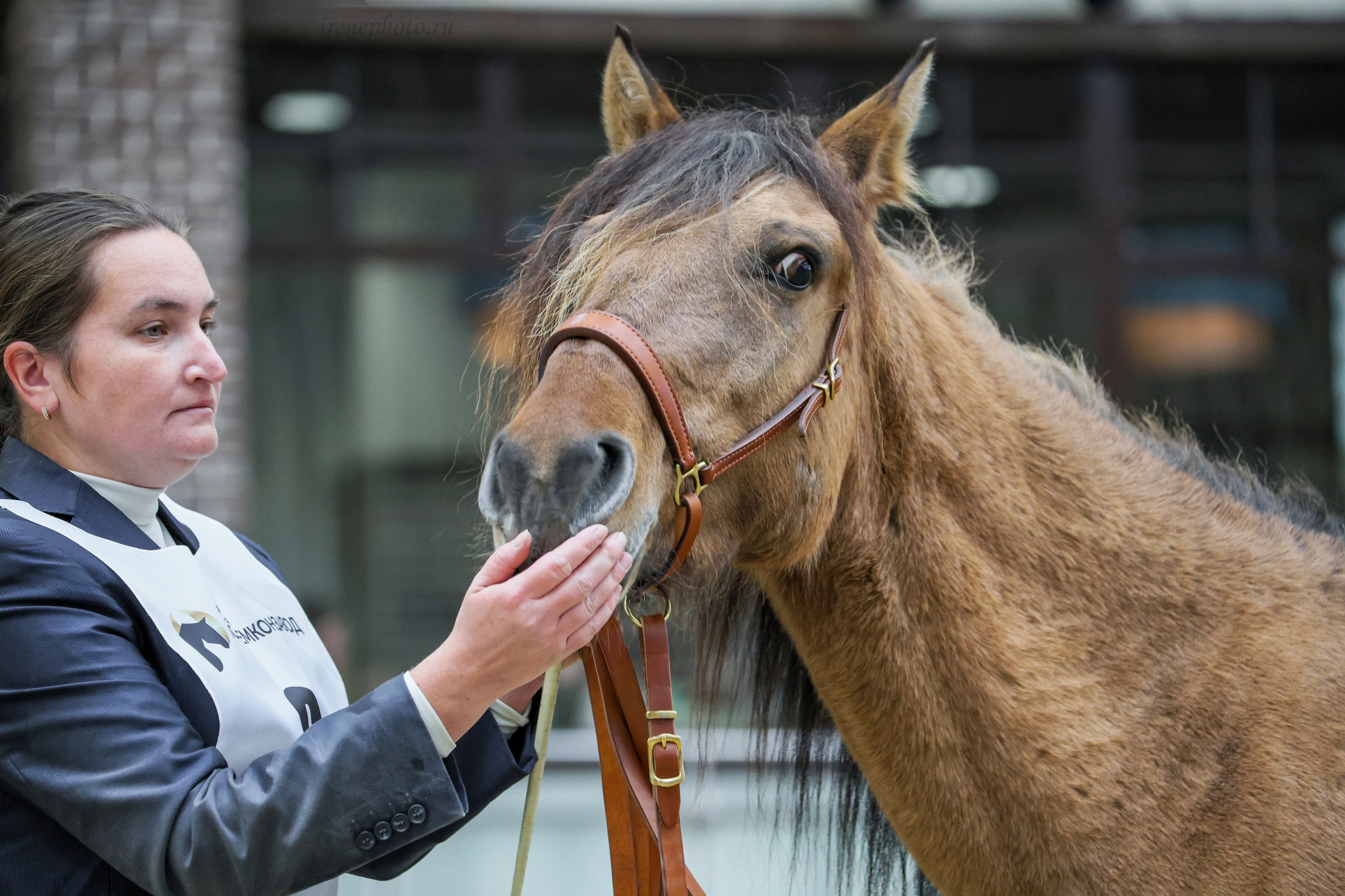 Конная Россия 2024. Irenephoto.ru