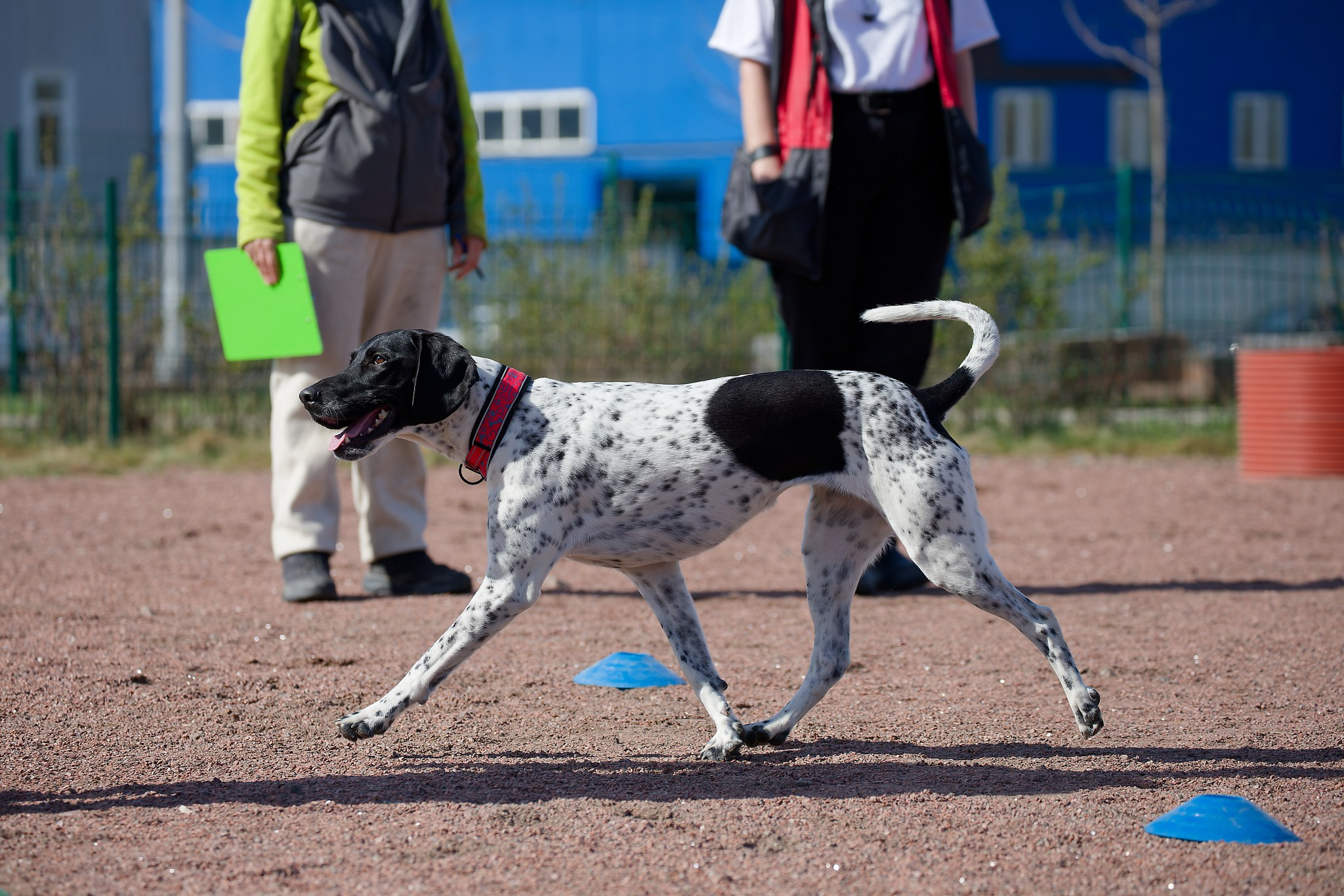 Турнир «Место». Irenephoto.ru