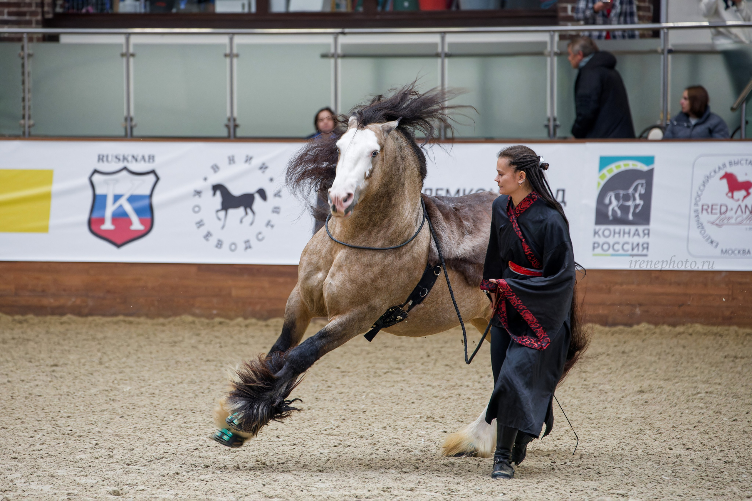 Конная Россия 2024. Irenephoto.ru