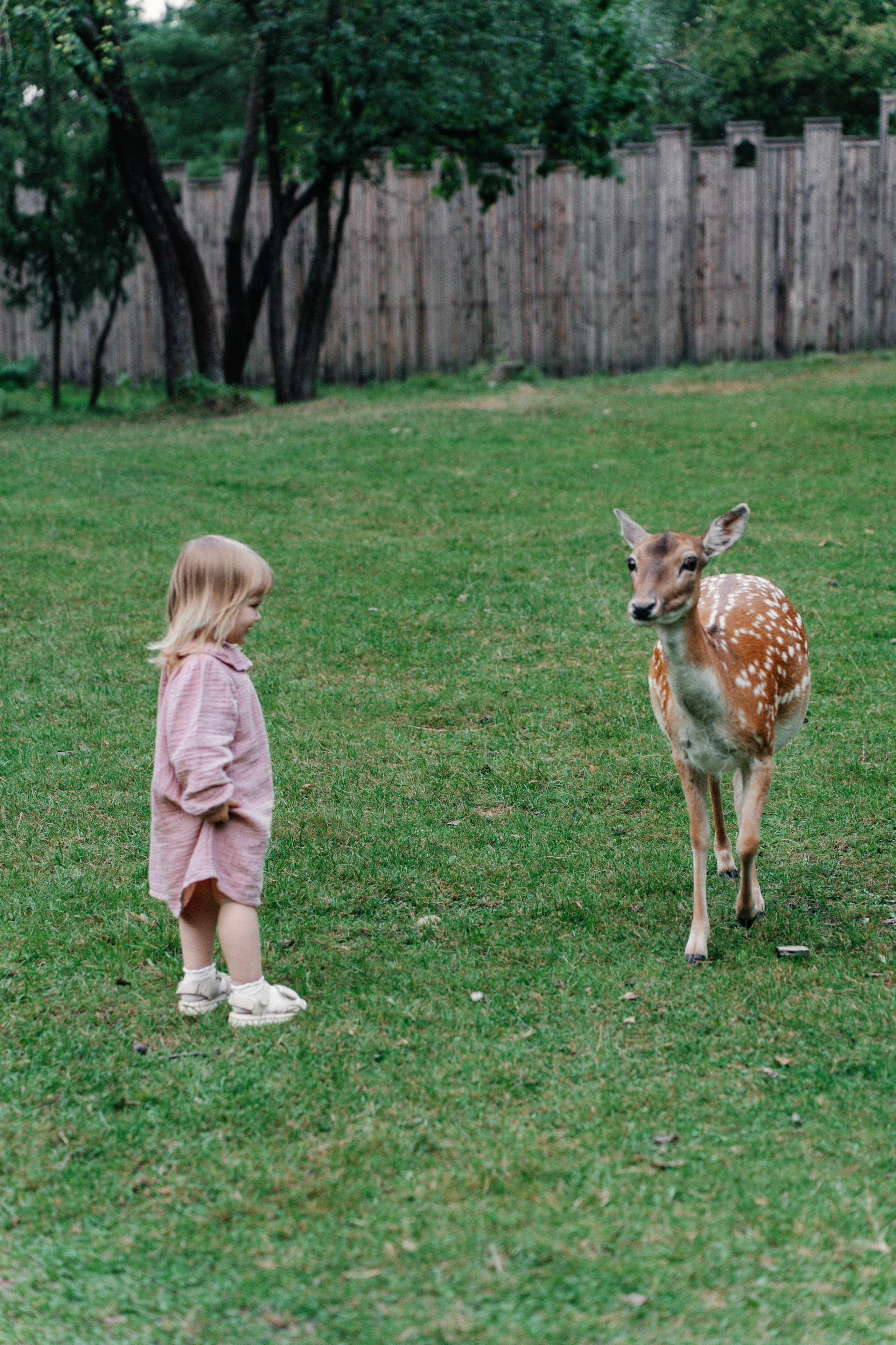 Диприз — в мире диких животных. Ваш семейный фотограф в Минске — Вика Трегубова