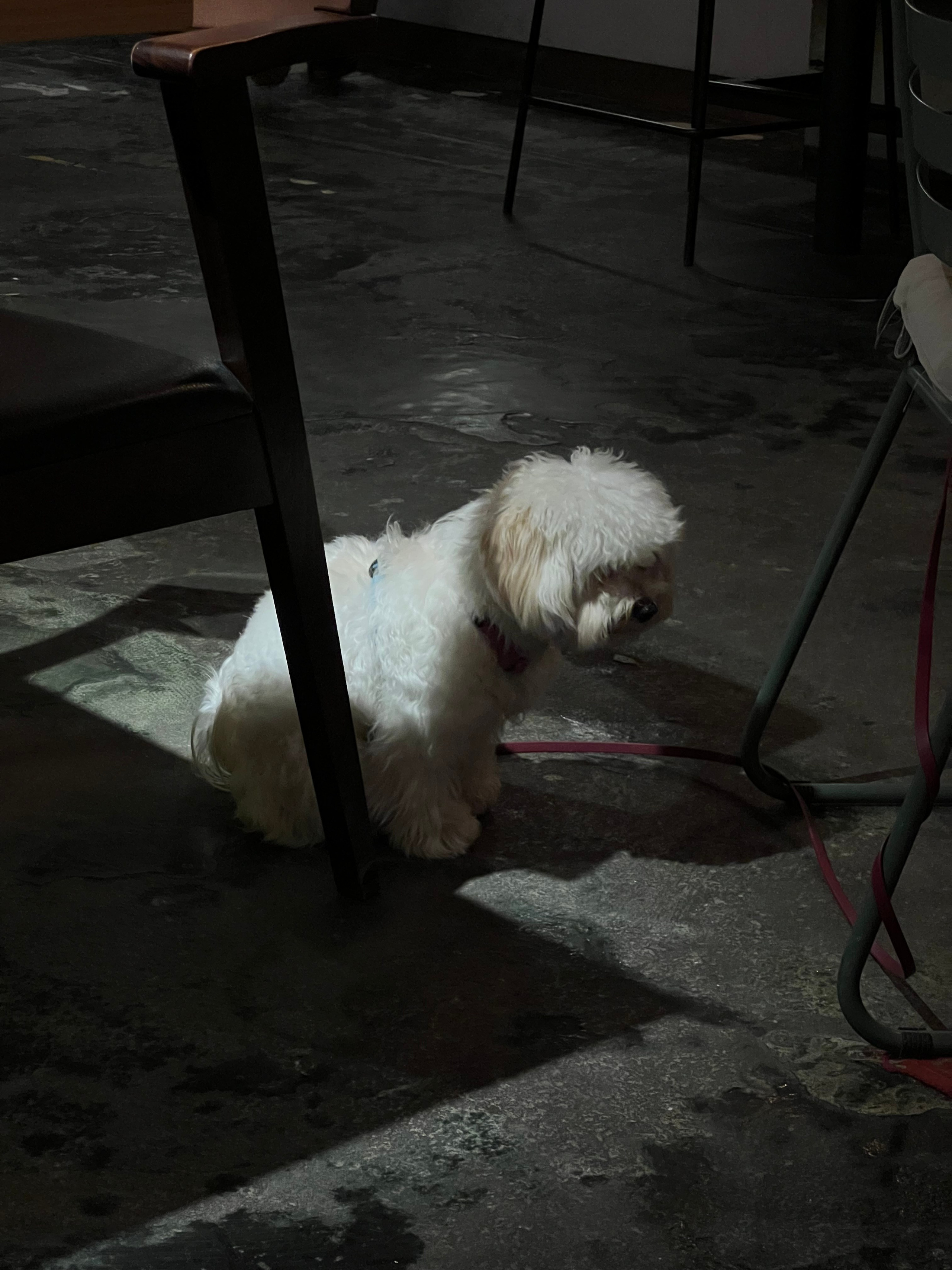 Fragments. Artem Khusainov