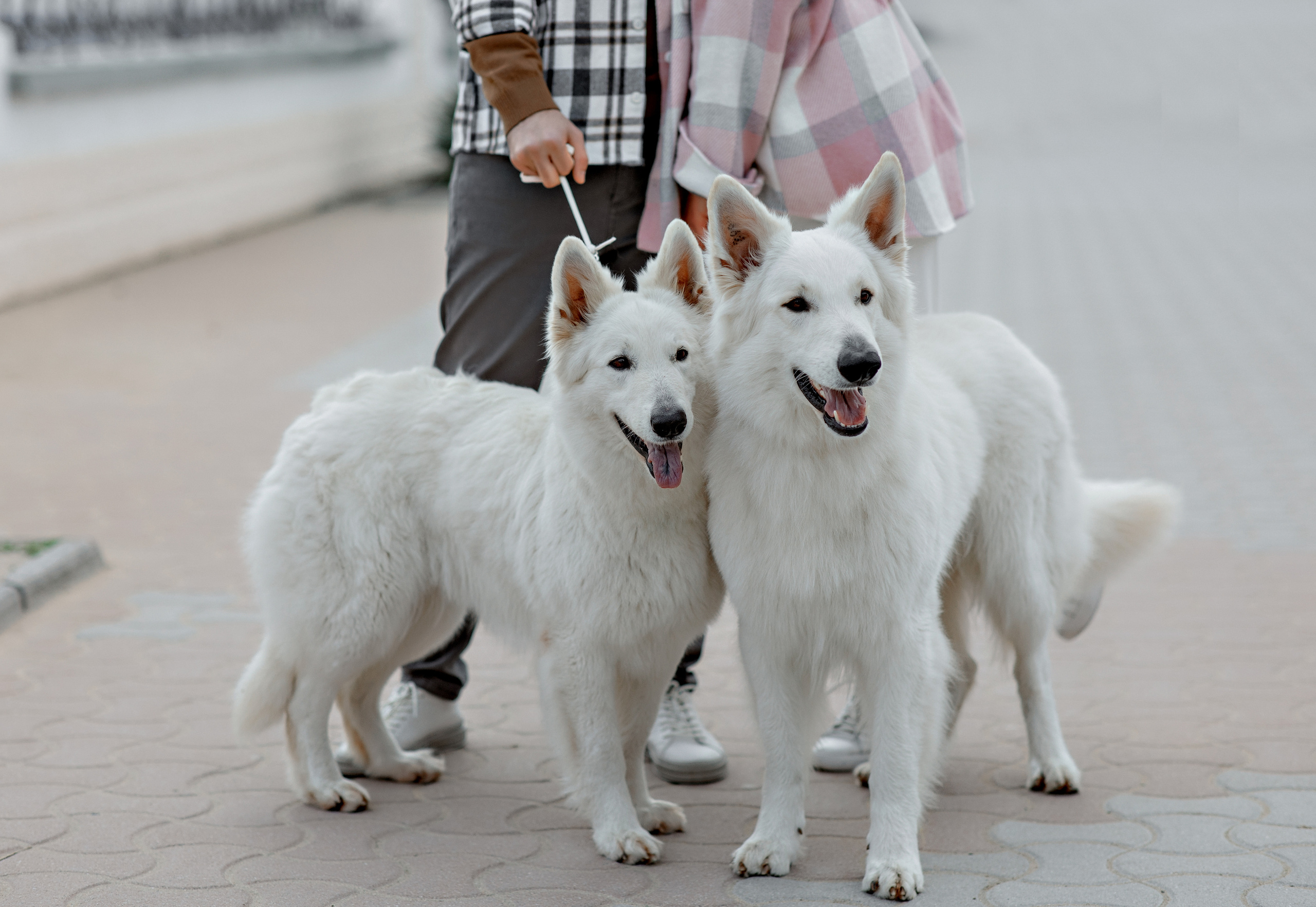Выездные фотосессии. Съемка для влюбленных. Фотограф-стилист Крым Прокат одежды в Крыму. Фотосессии в Крыму