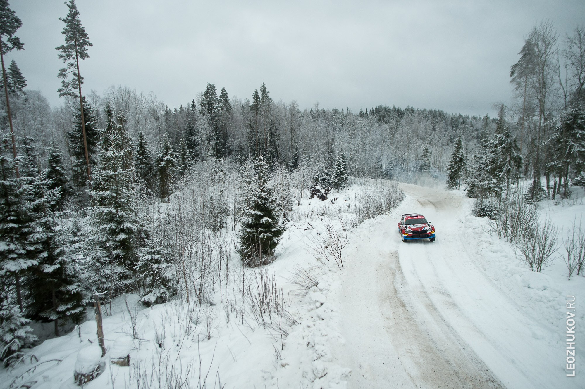 Rally Karelia 2024. Sports photographer Leonid Zhukov