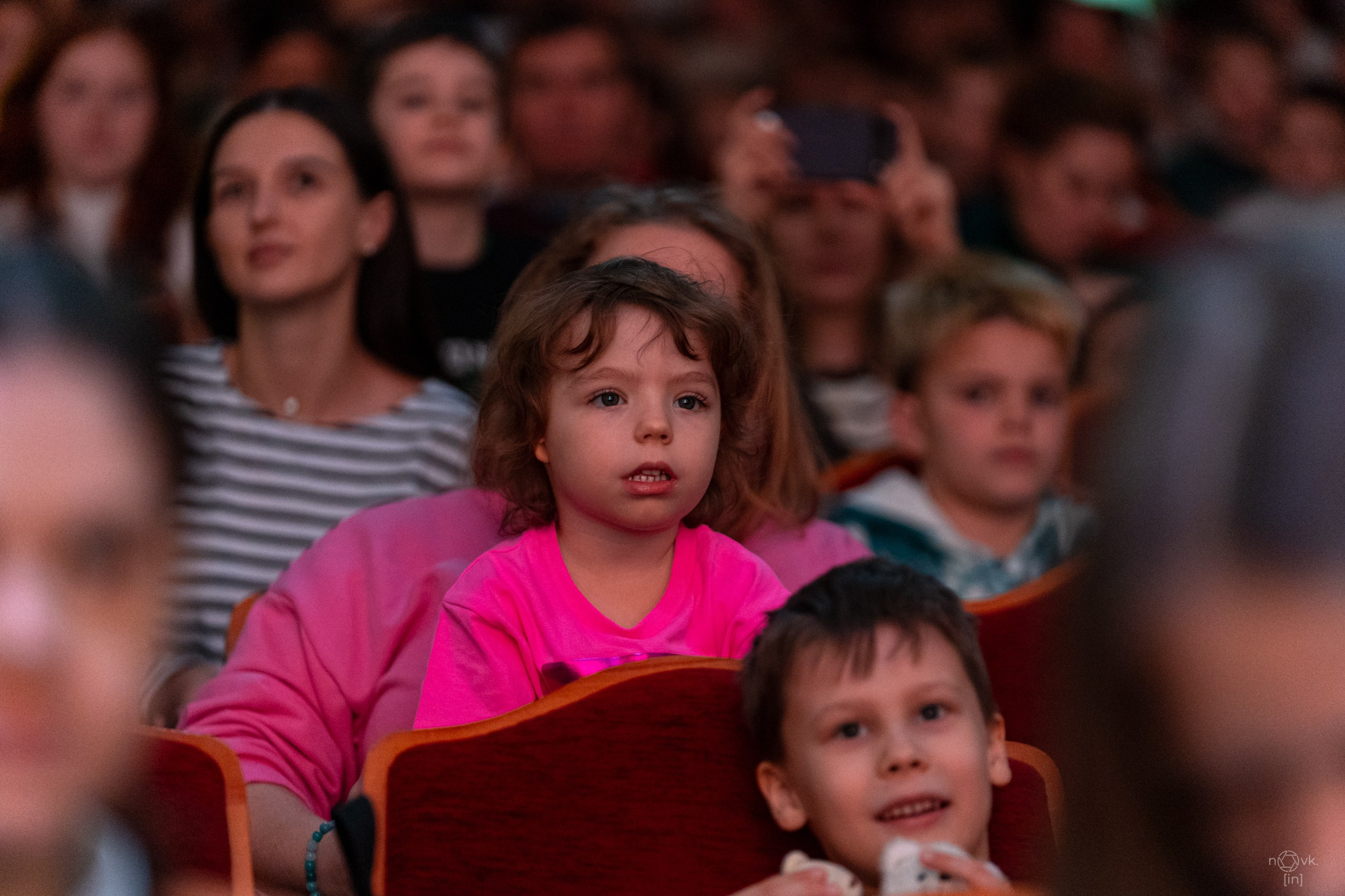 Ёлка. ФОТОГРАФ ИВАН НОВИКОВ | СТАВРОПОЛЬ