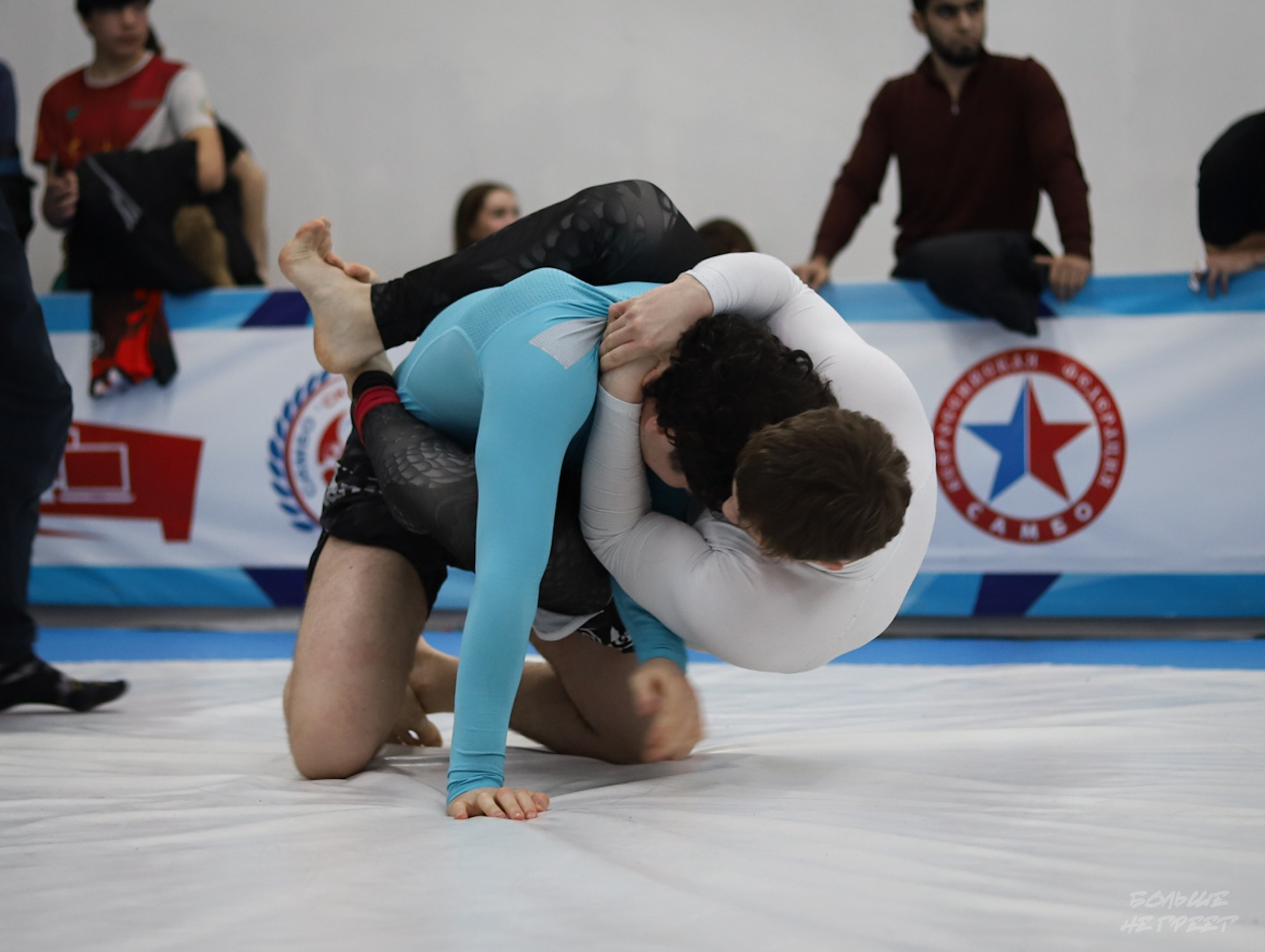 GORILLA PRIDE CUP. Больше не греет