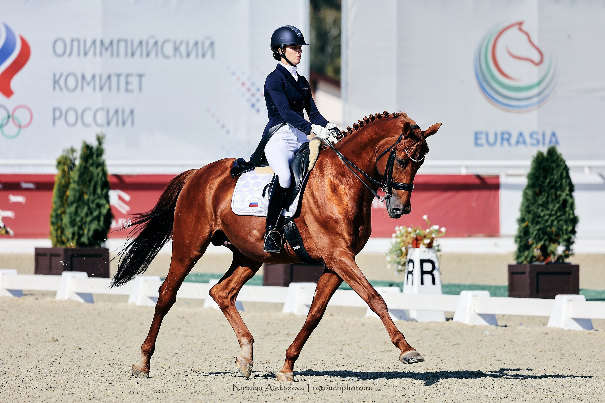Чемпионат и Первенство России по выездке, Maxima Stables | 09'2023. Репортажный фотограф и ретушер в Москве Наталья Алексеева