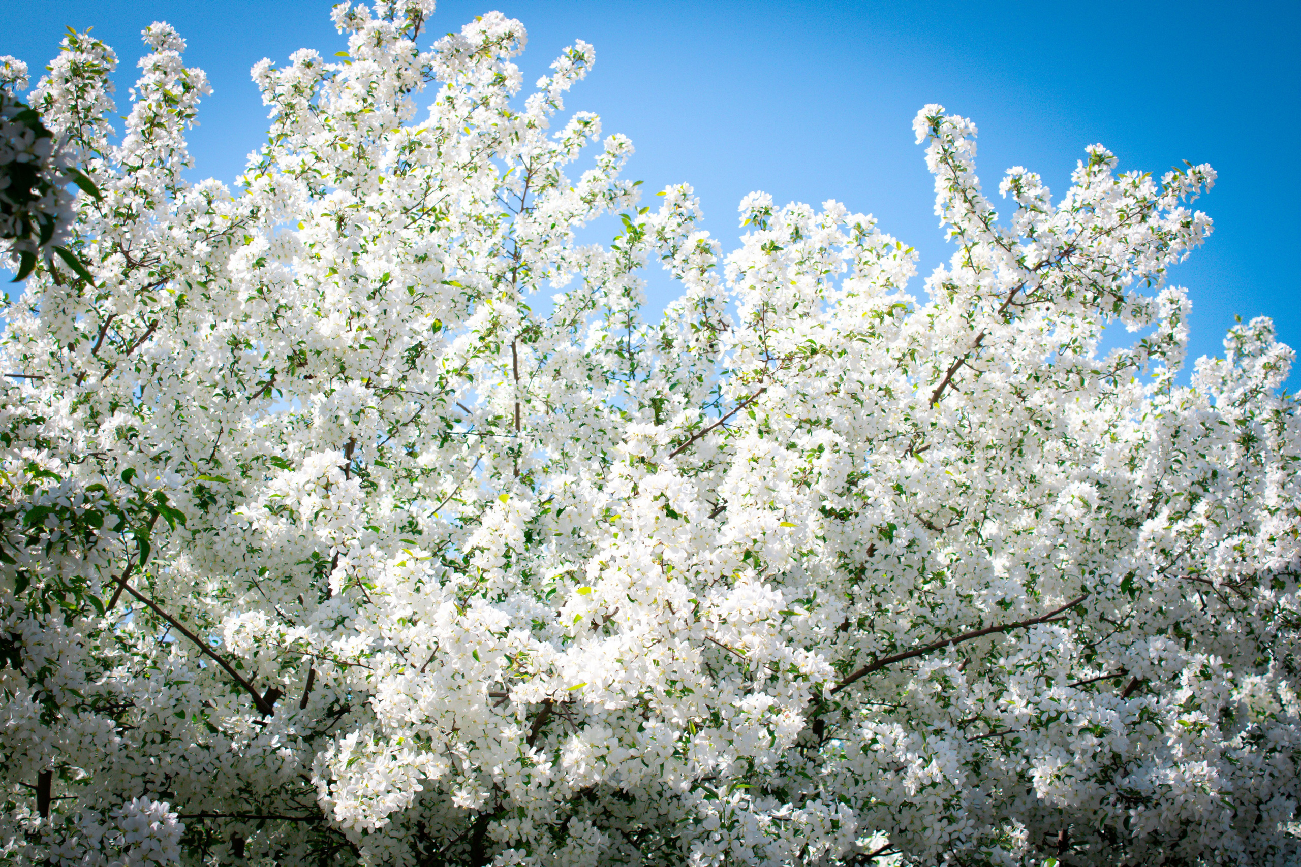 Вдохновение. Бутакова Елена фотограф в Екатеринбурге