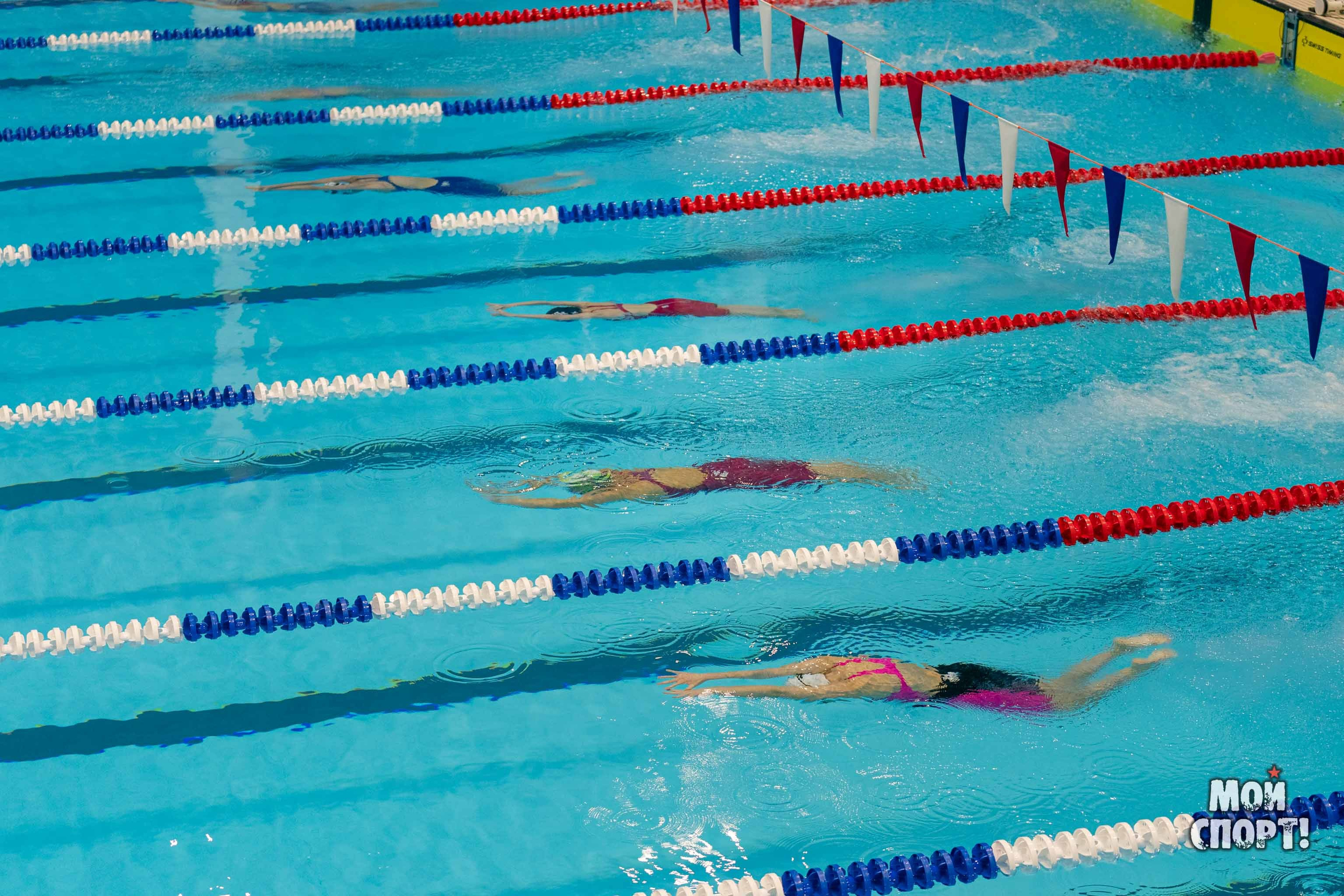 Соревнования по плаванию на призы Деда Мороза. Студия «Мой Спорт!» — все о спорте в Якутии