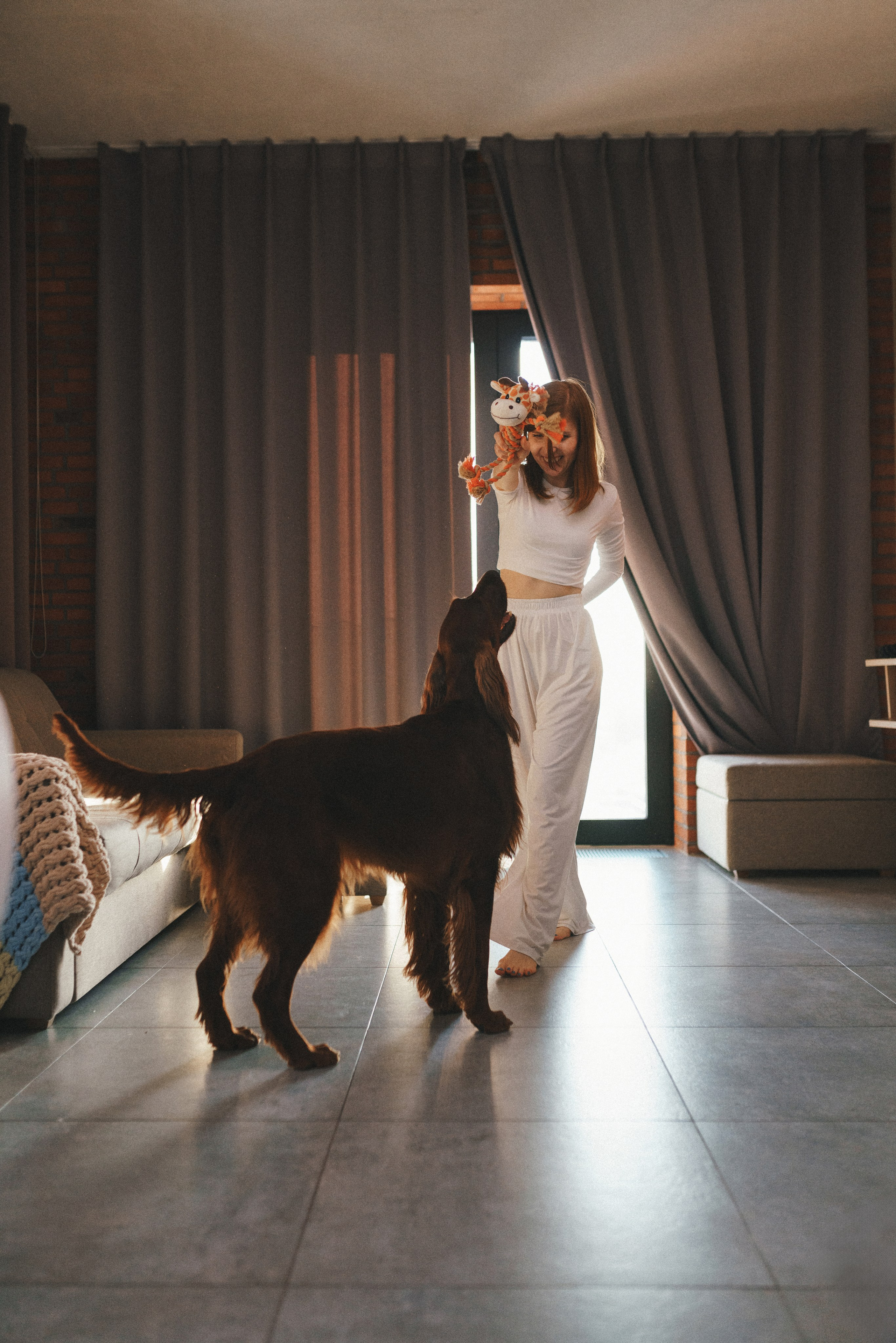 M-Pets. Фотограф анималист Осипчикова Мария