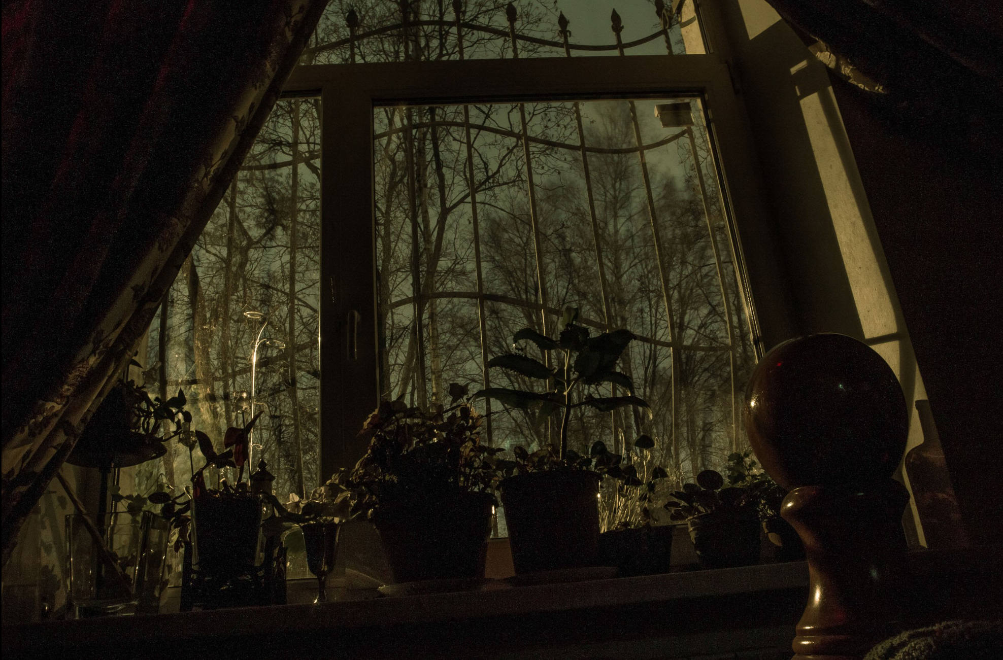 XfVillage. Фотограф Cyberkyrie