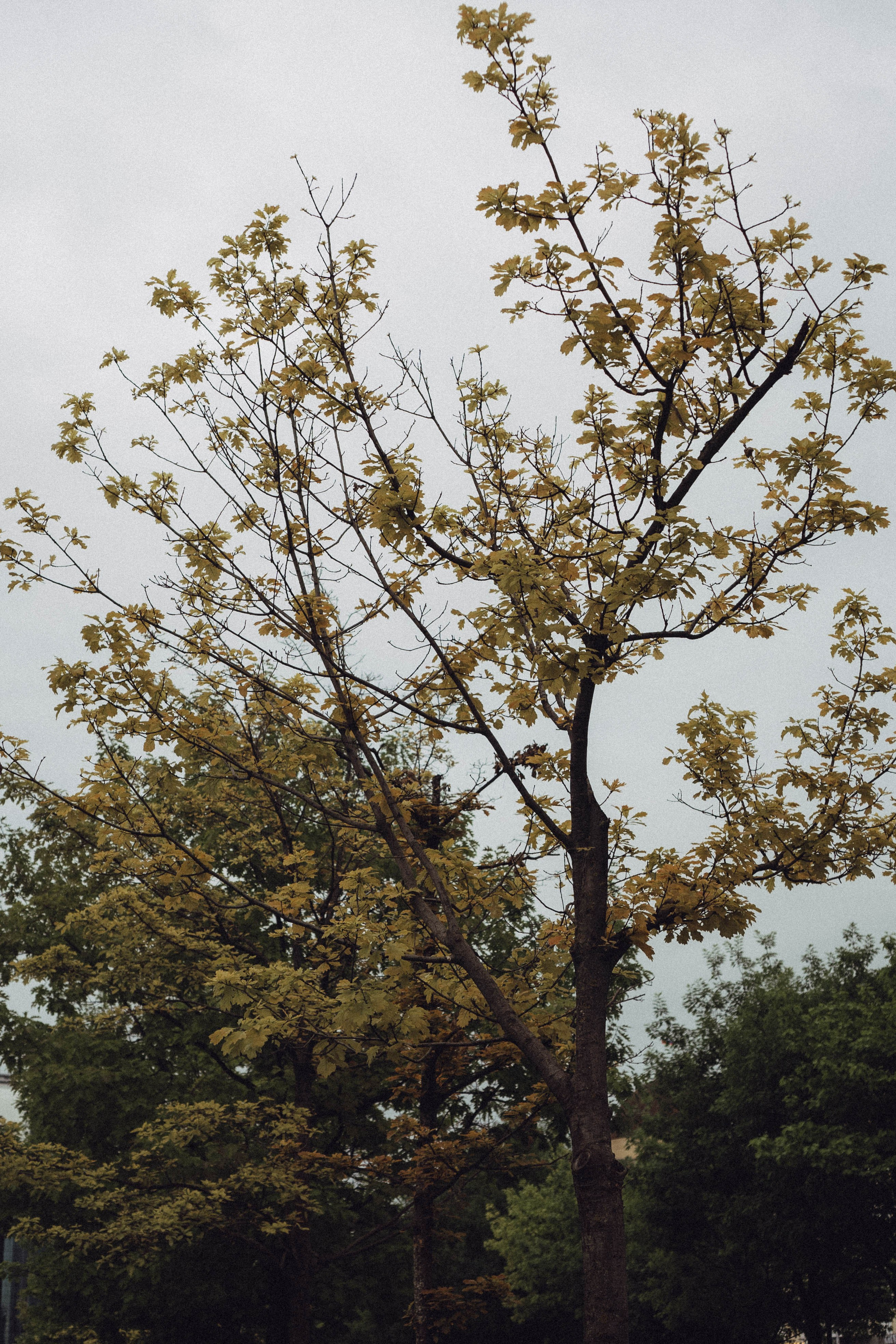 Кавказ. Профессиональный фотограф, Санкт-Петербург — Виктория Богомолова