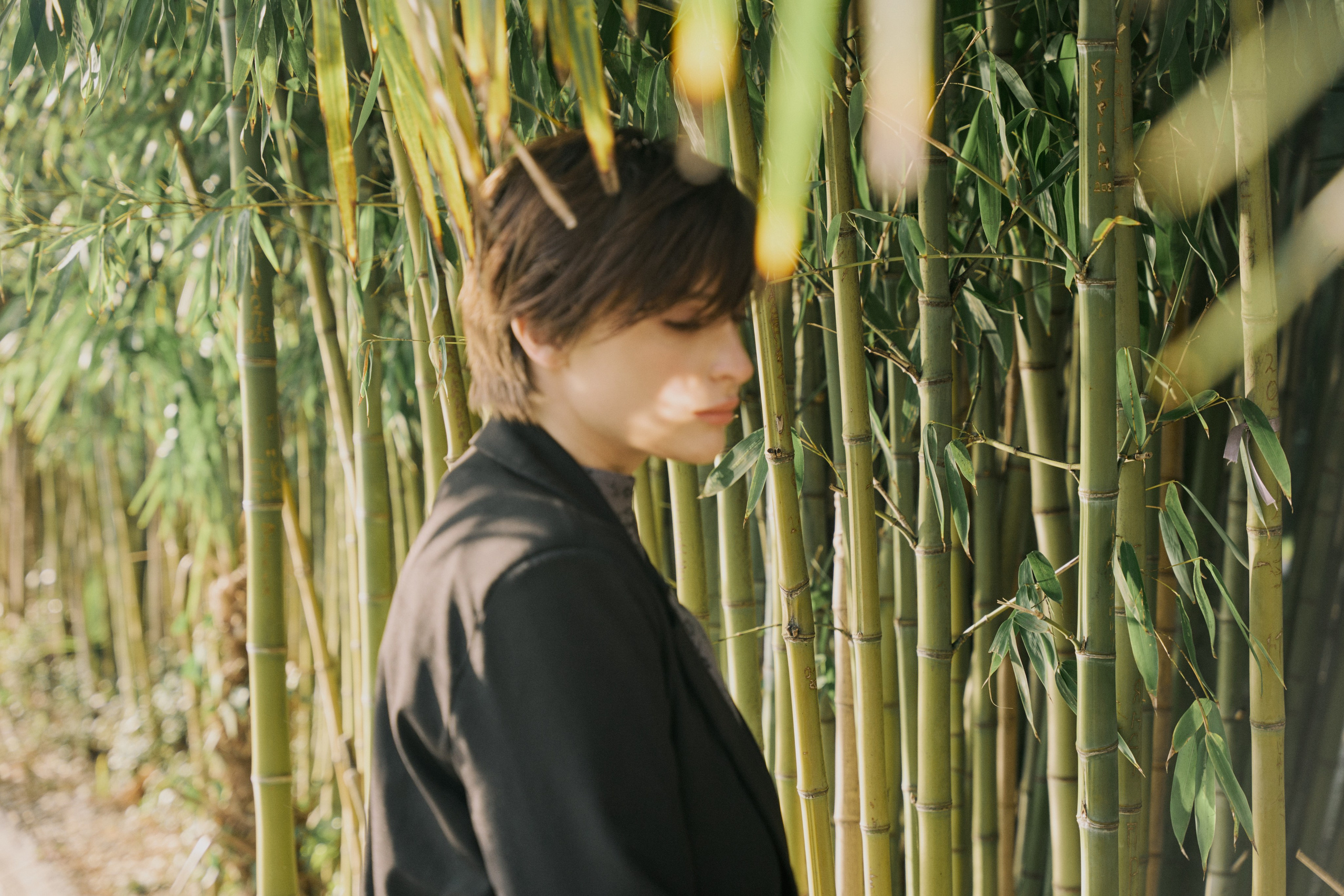 Фото день в Абхазии. Индивидуальный фотограф в Сочи Владимир Чудинов