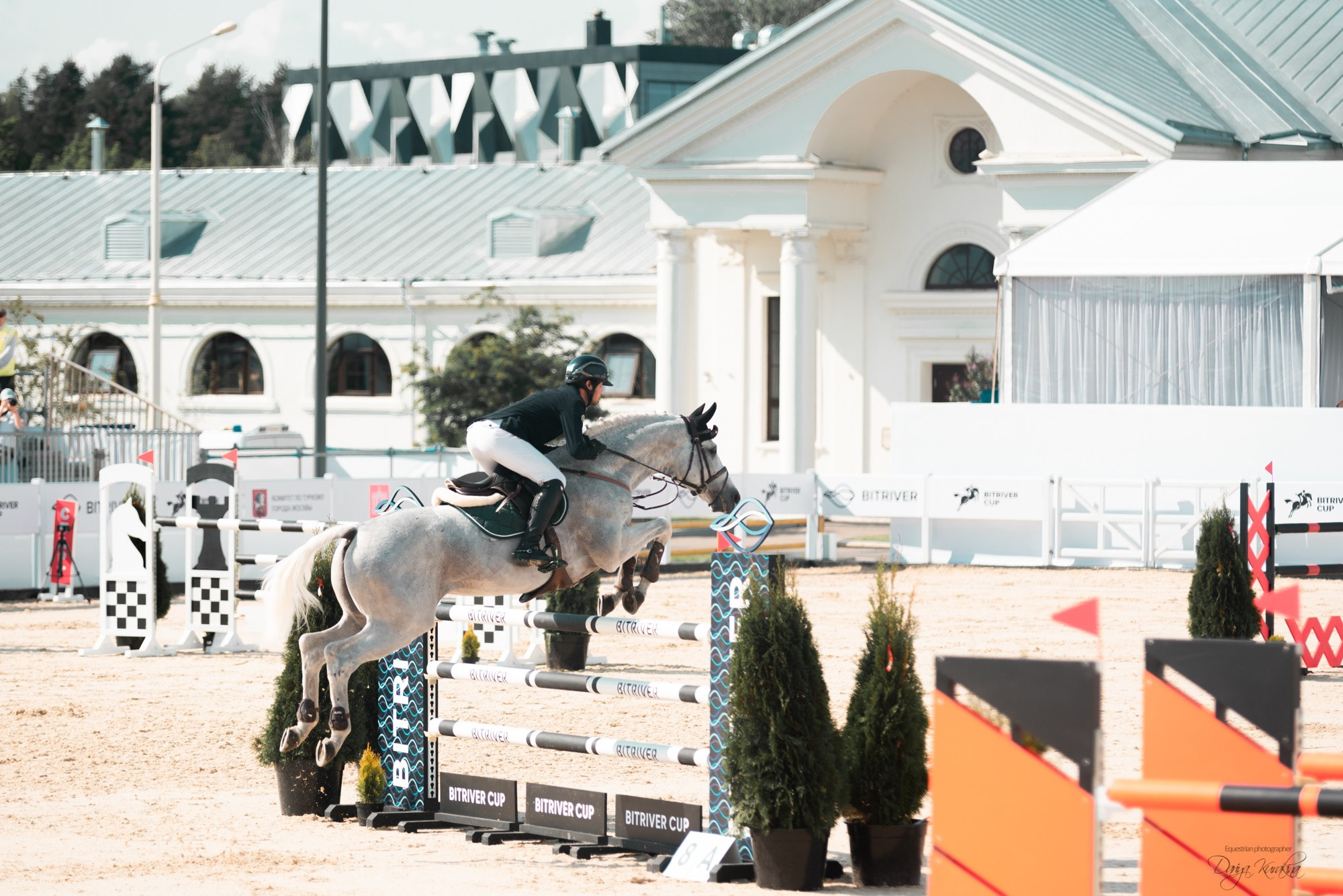 BITRIVER CUP 2023. Конный фотограф Куракина Дарья • Фотосессии с лошадьми