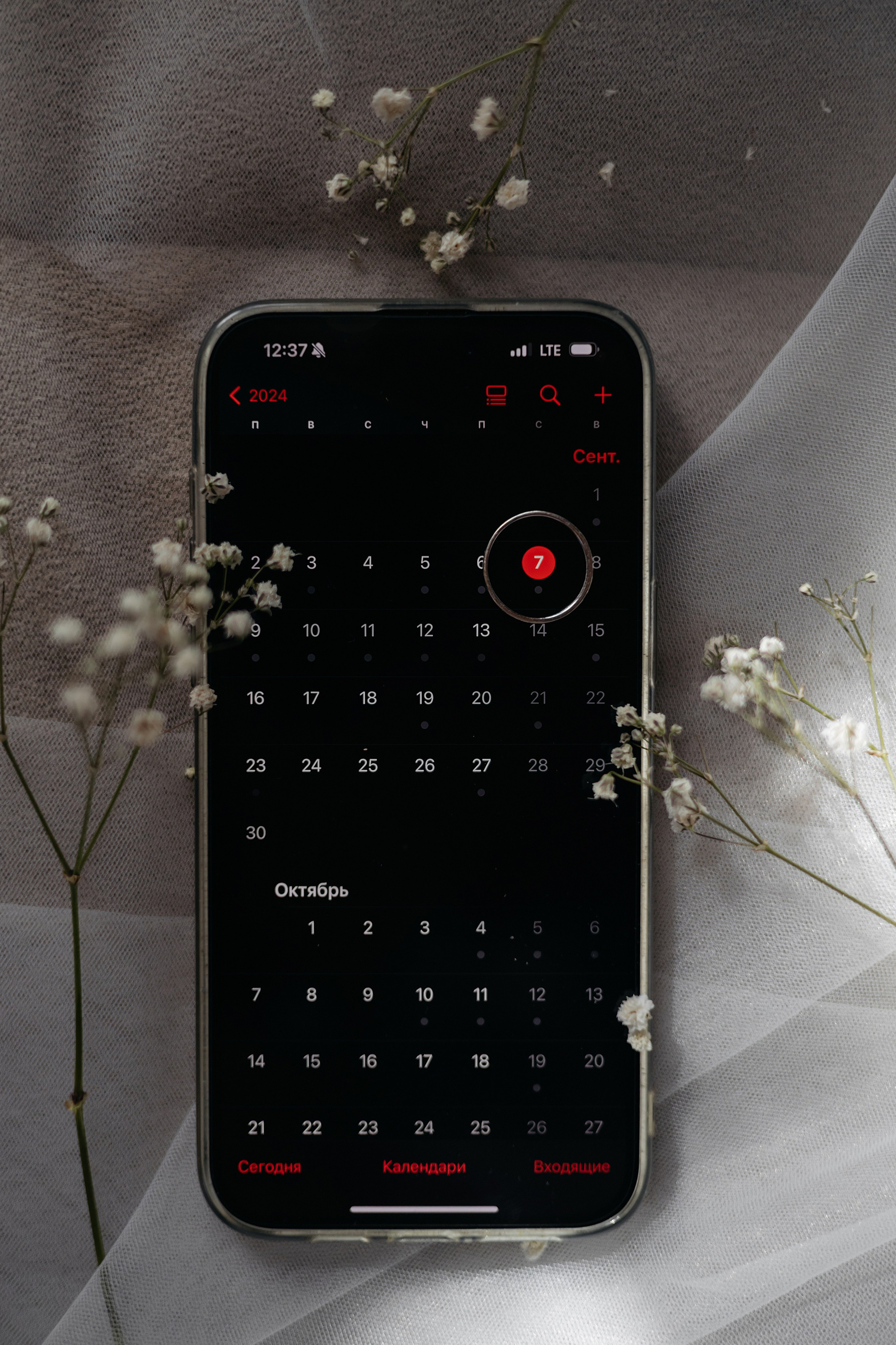 Кристина и Николай. Свадебный фотограф в Пскове и Санкт-Петербурге | Анна Голикова