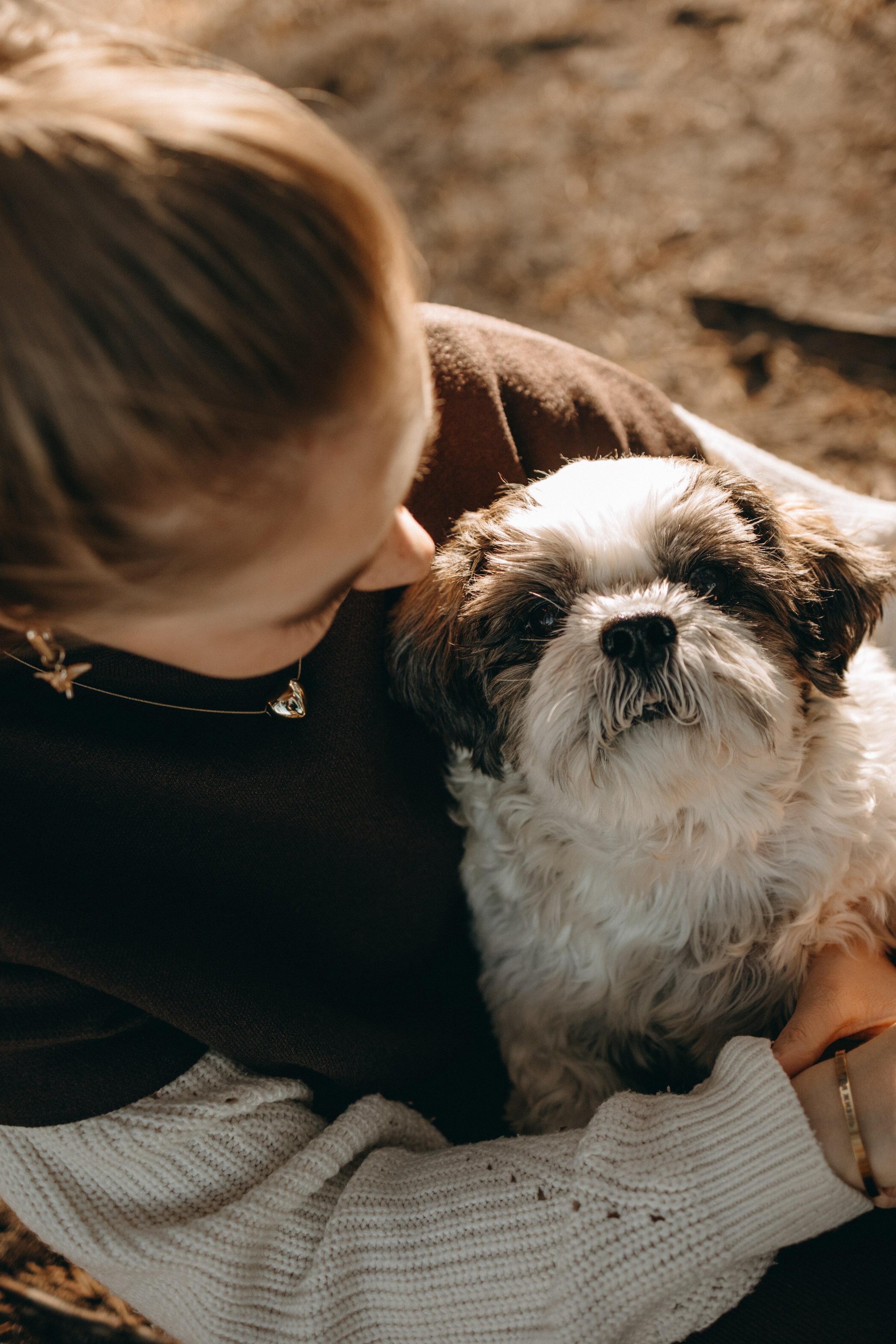 Настя и Франт. Фотограф — Анималист | Санкт-Петербург