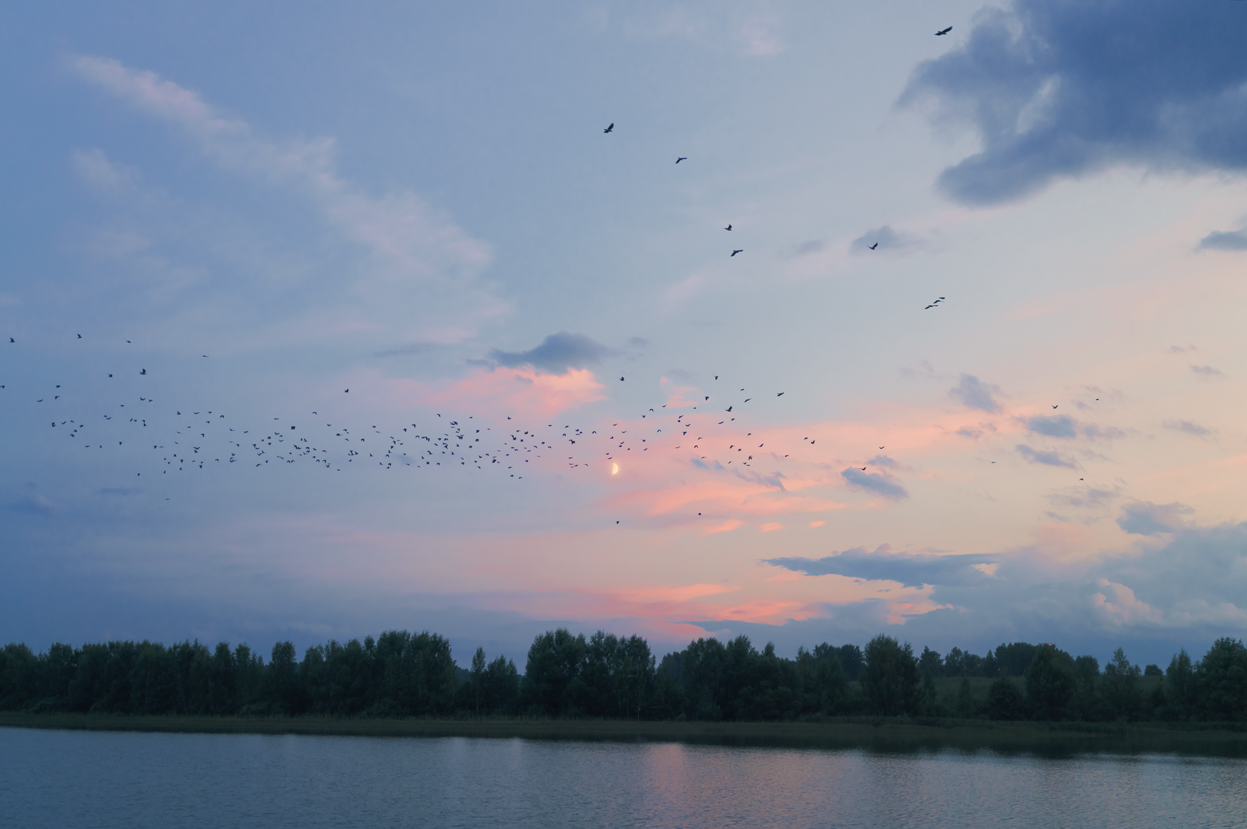 Небо видело всё. Komonev