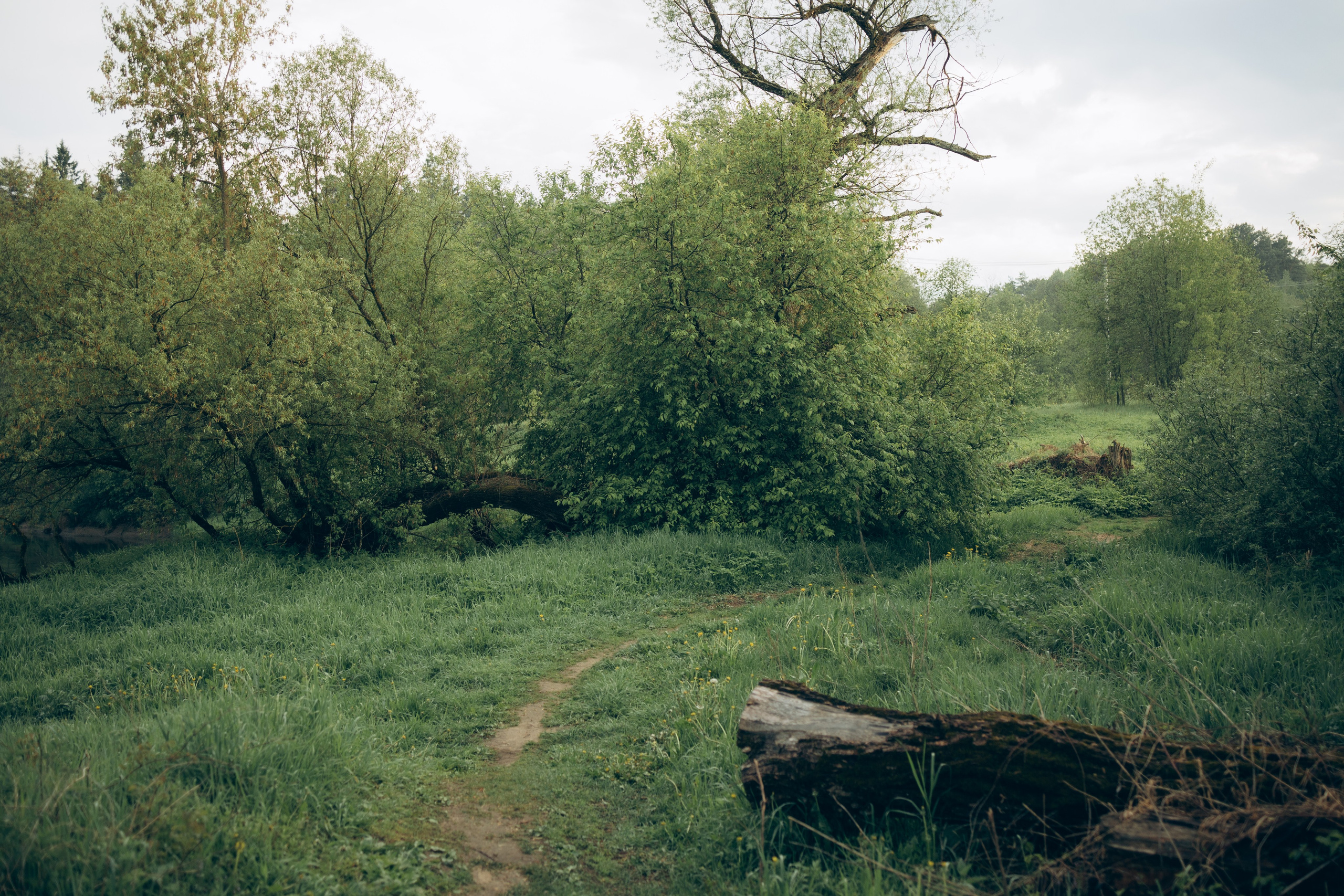 Istra. Женский фотограф Истра