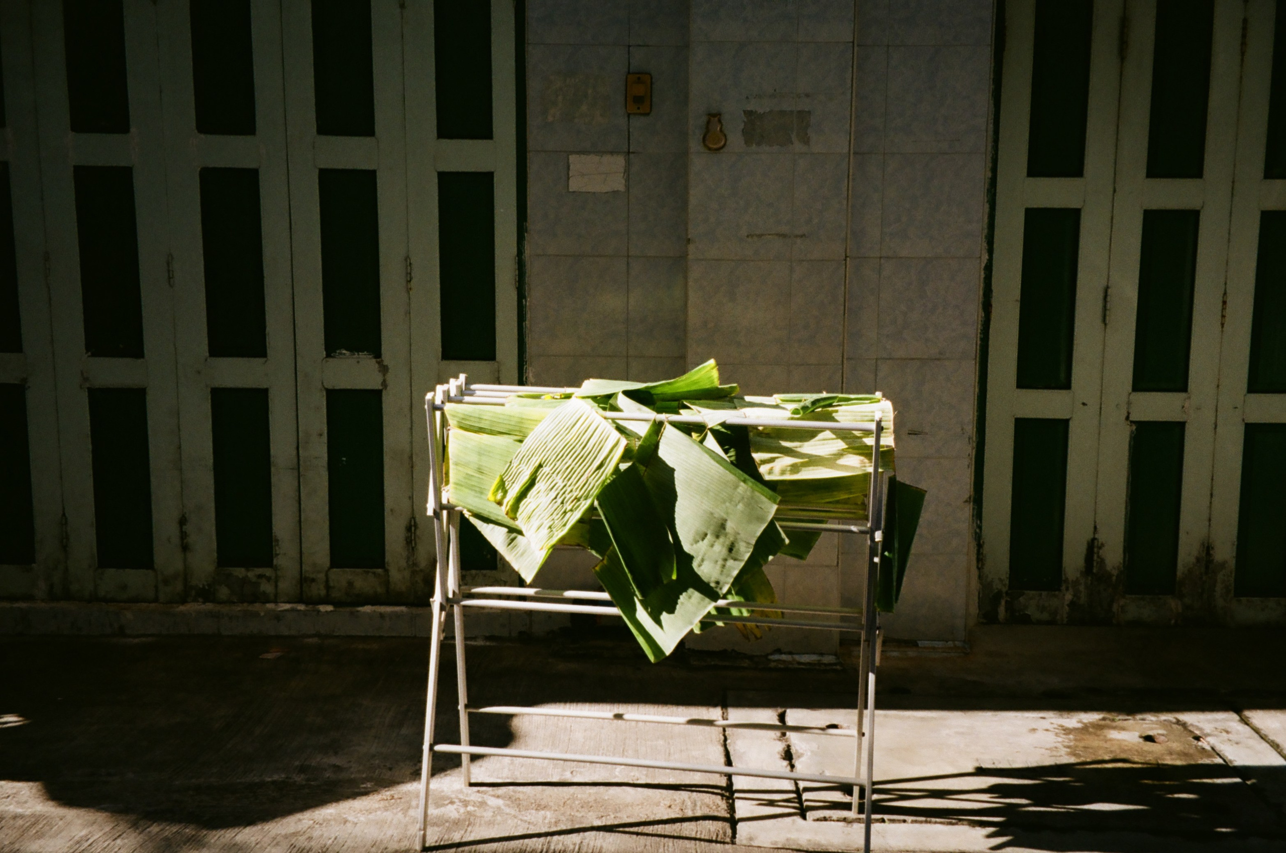 Personal projects. Фотограф Полина Треногина