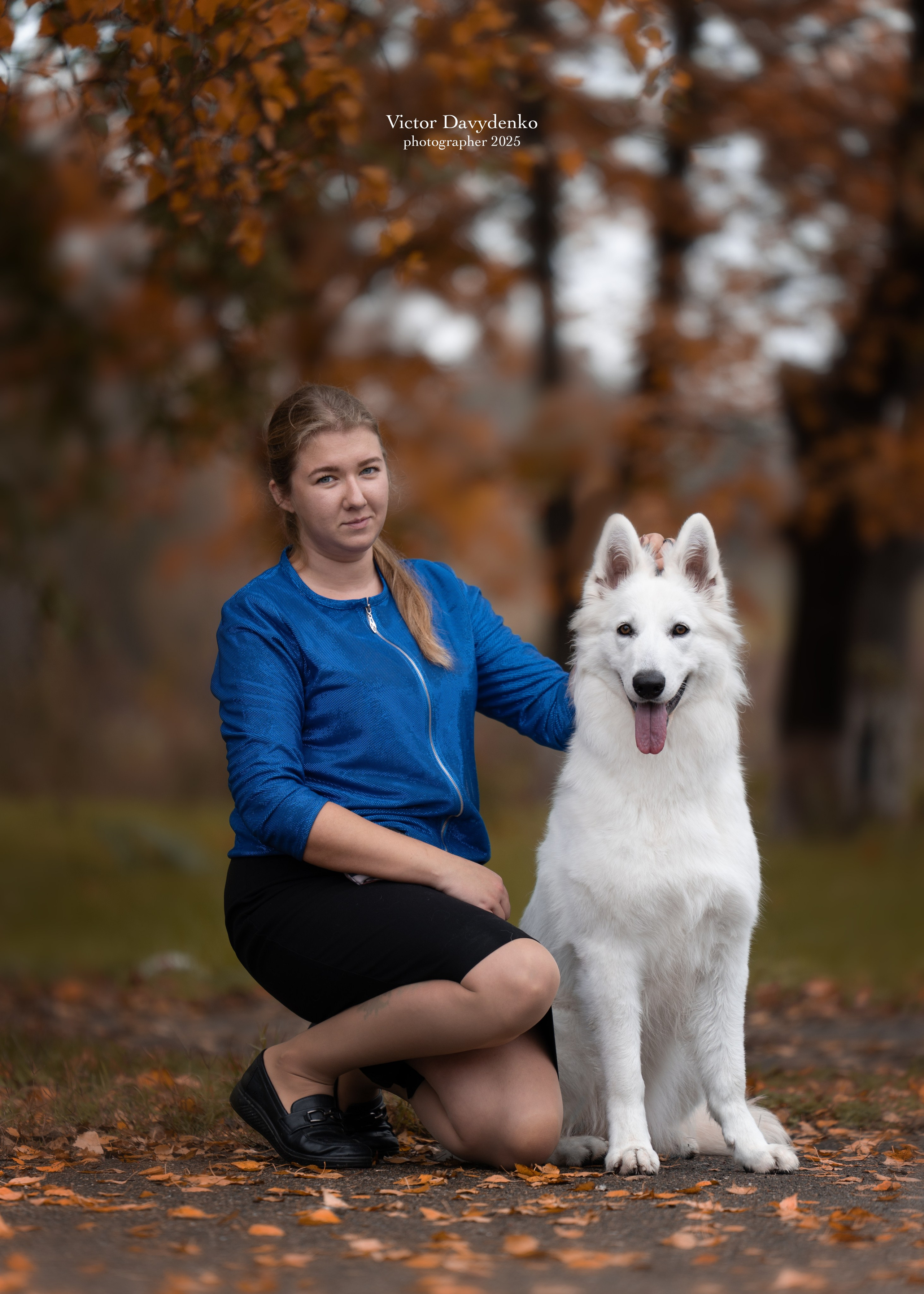 фотограф краснодар сочи , фотосессия в Краснодаре , фотограф анималист краснодар , фото с собаками , фото с животными 