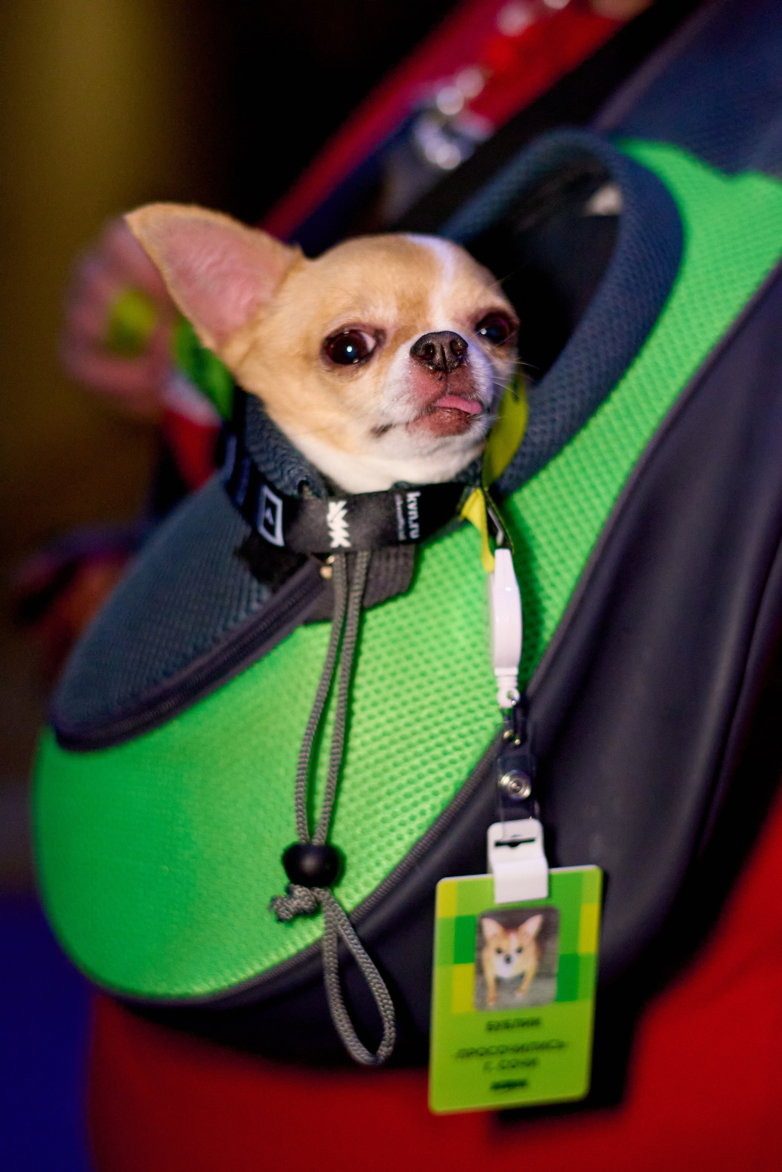 КиВиН-2025. #спецкорНвер