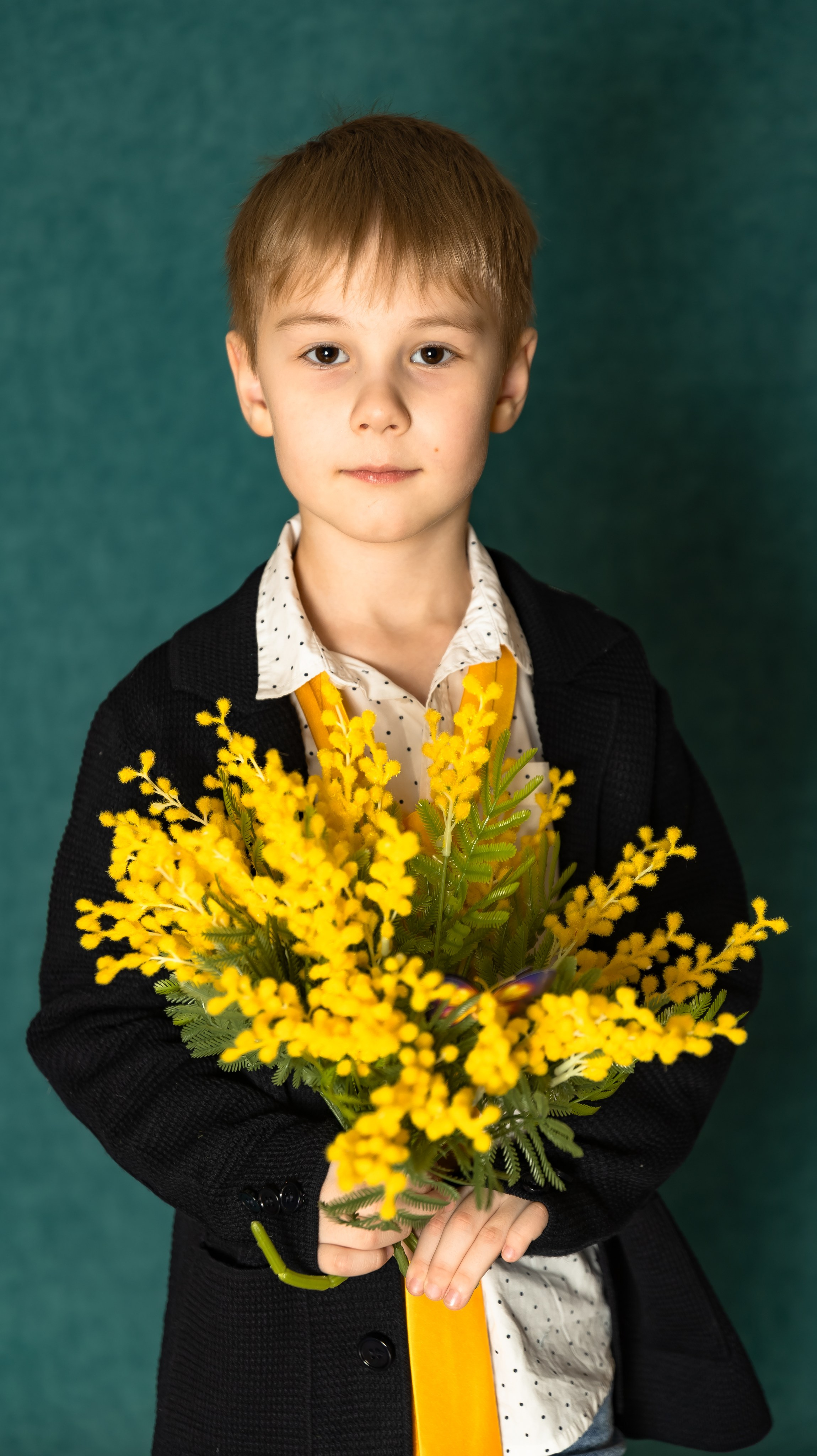 Мимоза. Рыжий Фотограф Иркутск