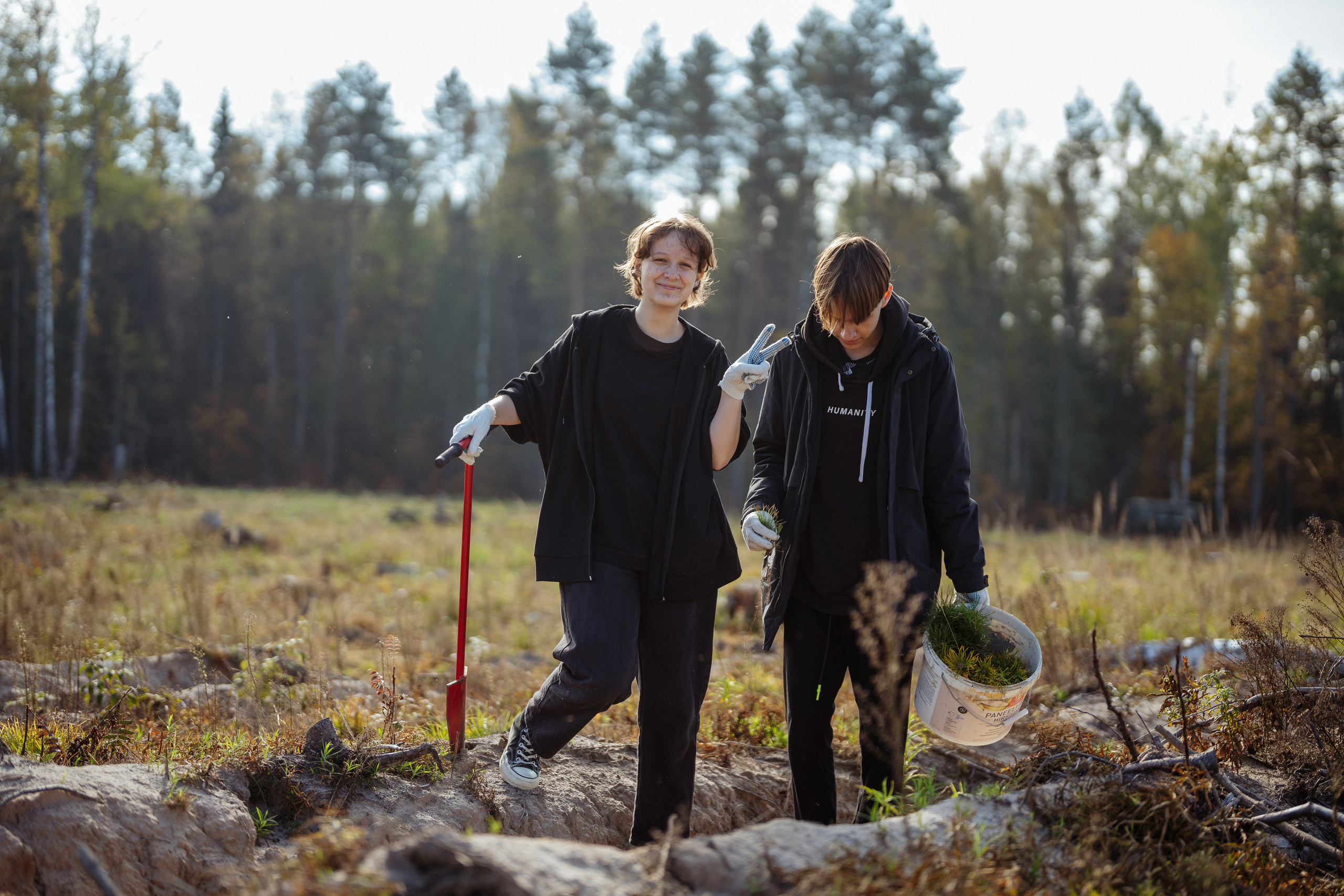 СБЕР · ЭКА · Посадка сеянцев. Владимир Вершинин, тот самый свадебный видеограф