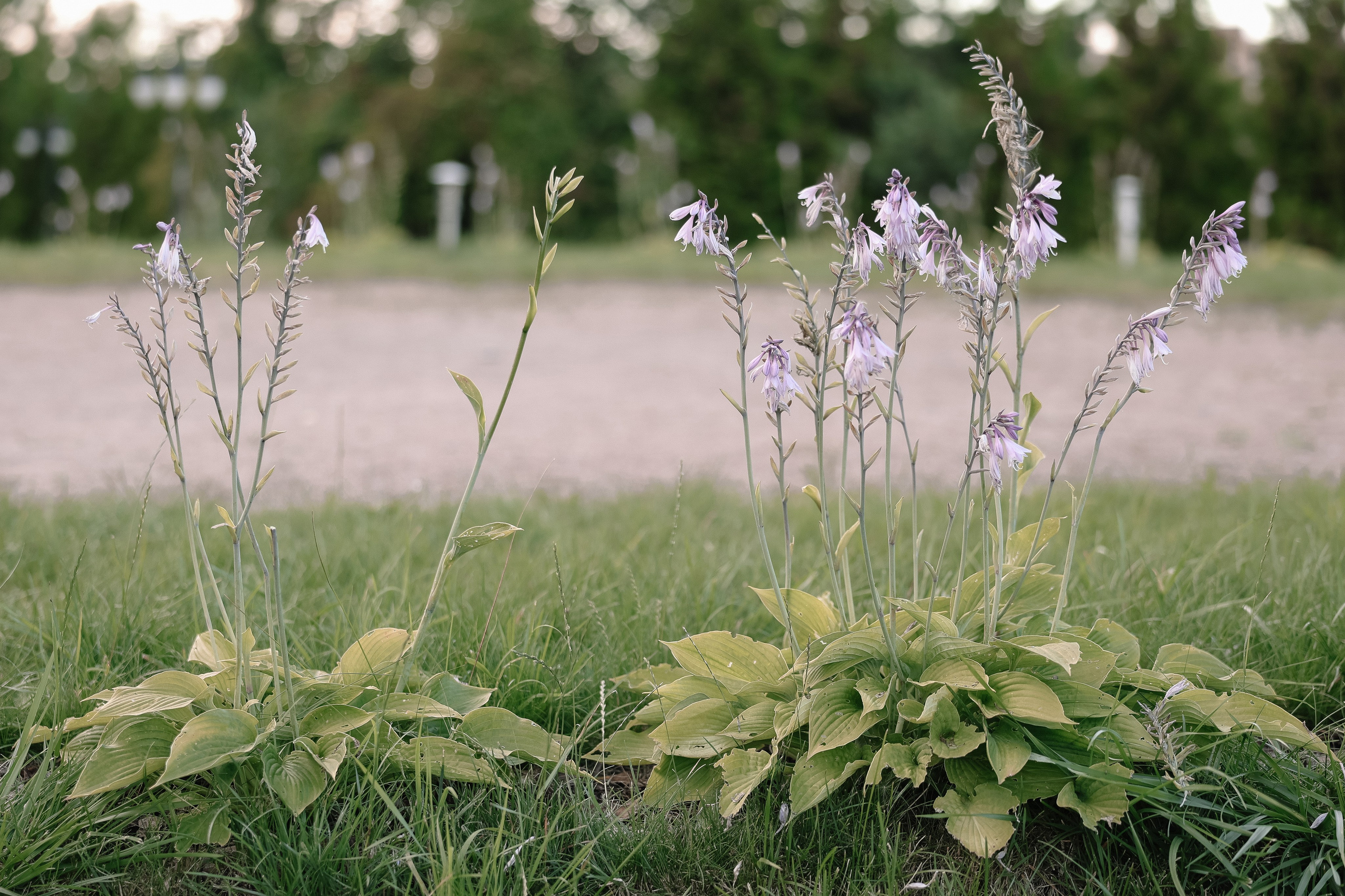 Вместе с отцом Николаем…. Свадебный и семейный Фотограф Денис Кошель