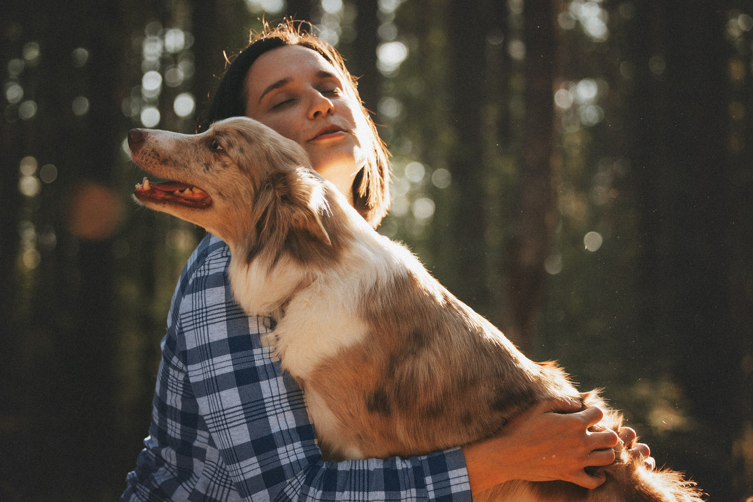 Рита, Маша и много собак. Фотограф анималист Осипчикова Мария