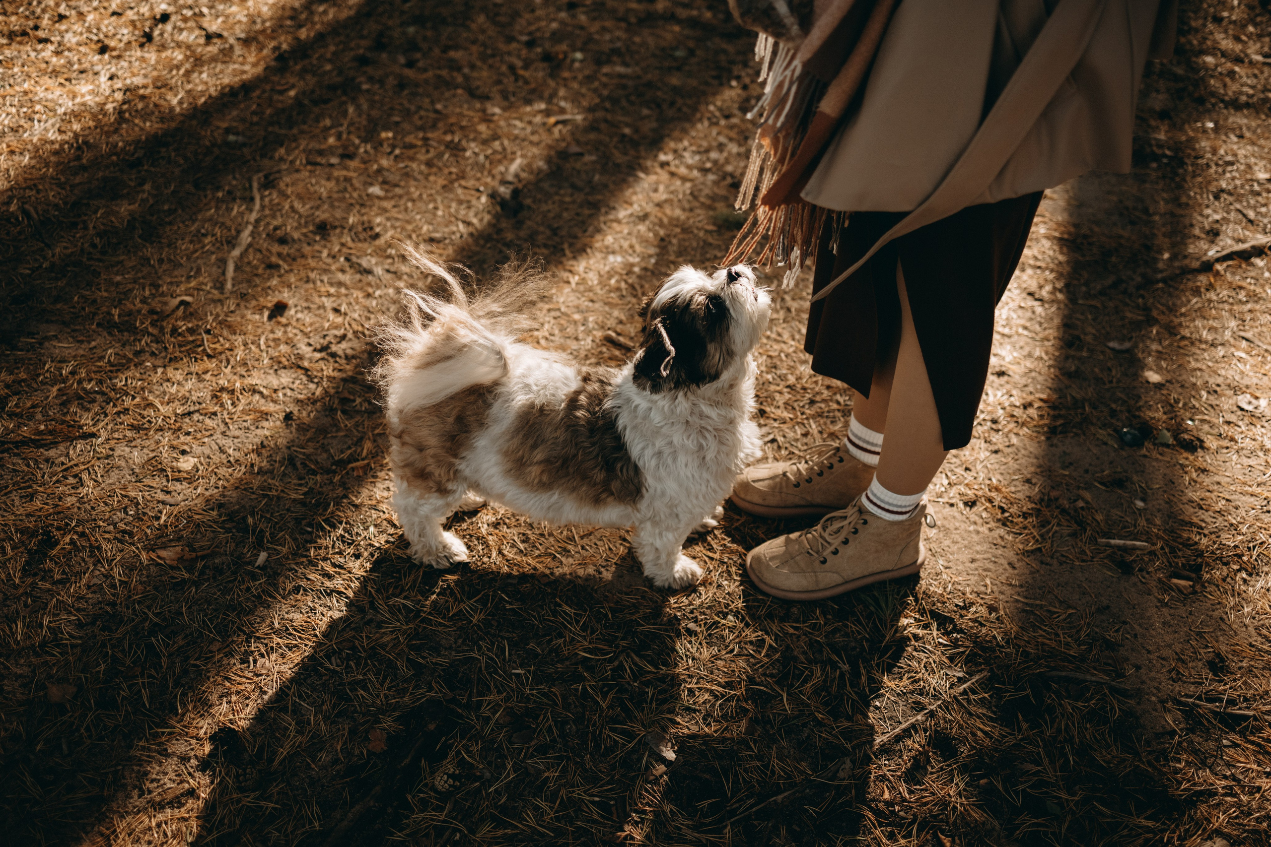 Настя и Франт. Фотограф — Анималист | Санкт-Петербург