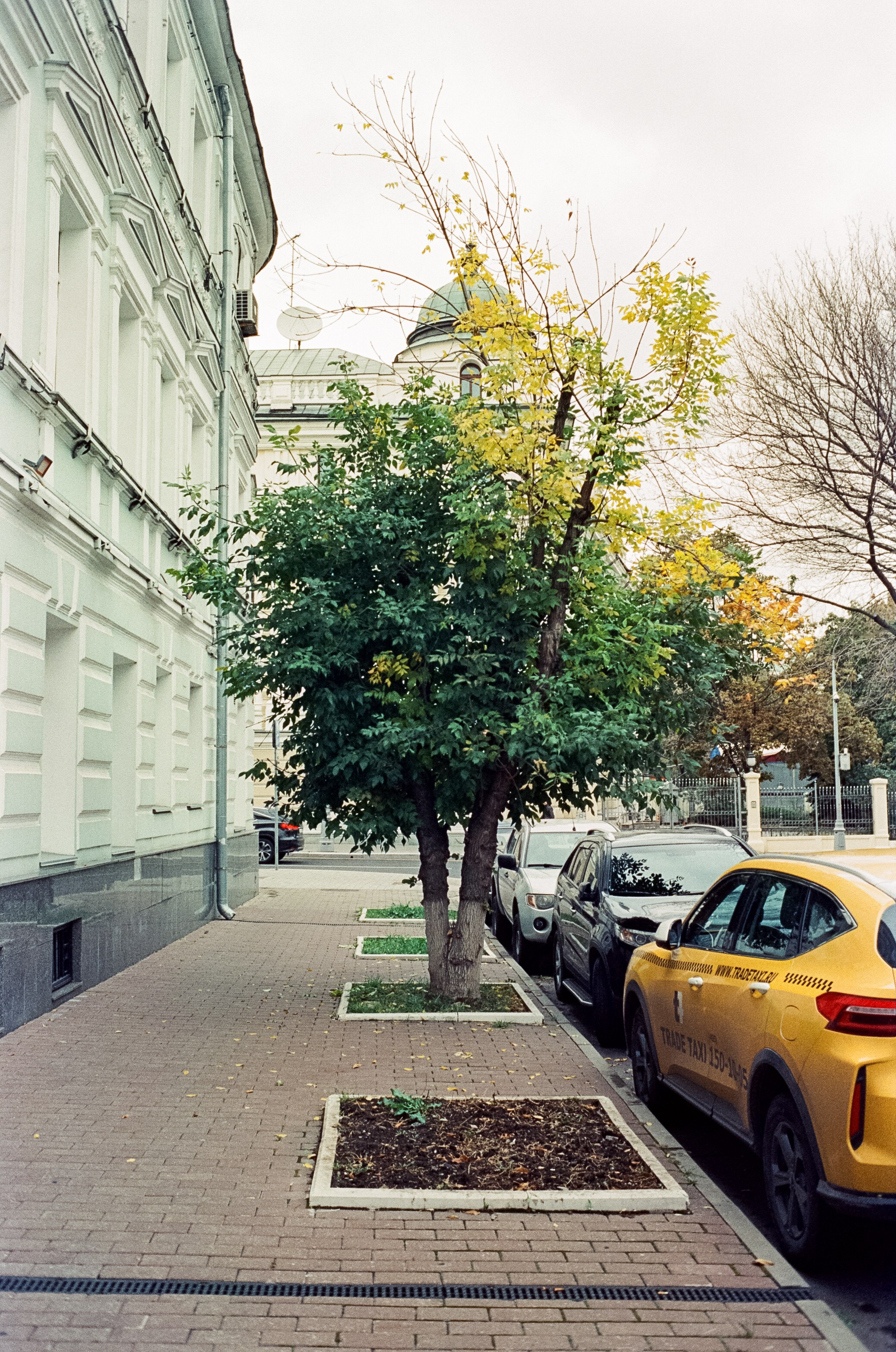 Ян Бедерман и Бронислав Виногородский / Клуб Алексея Козлова / 6 октября 2024 года