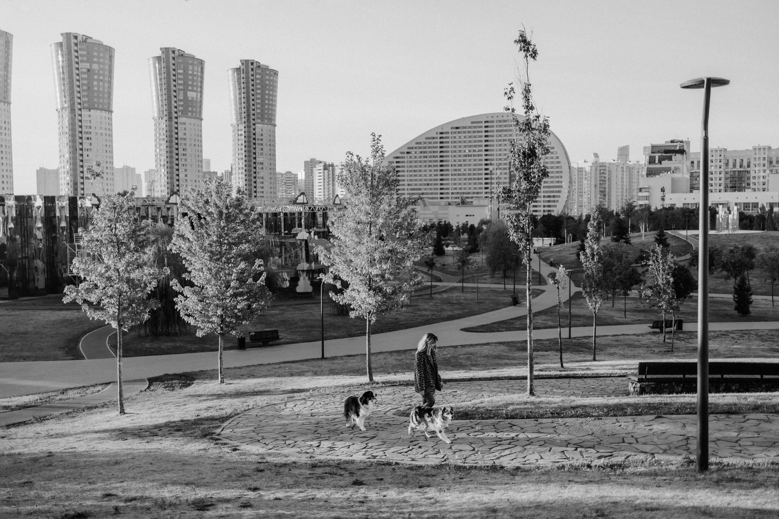 Аня, Чарли и Ева. Фотограф-анималист Елена Радченко, Москва