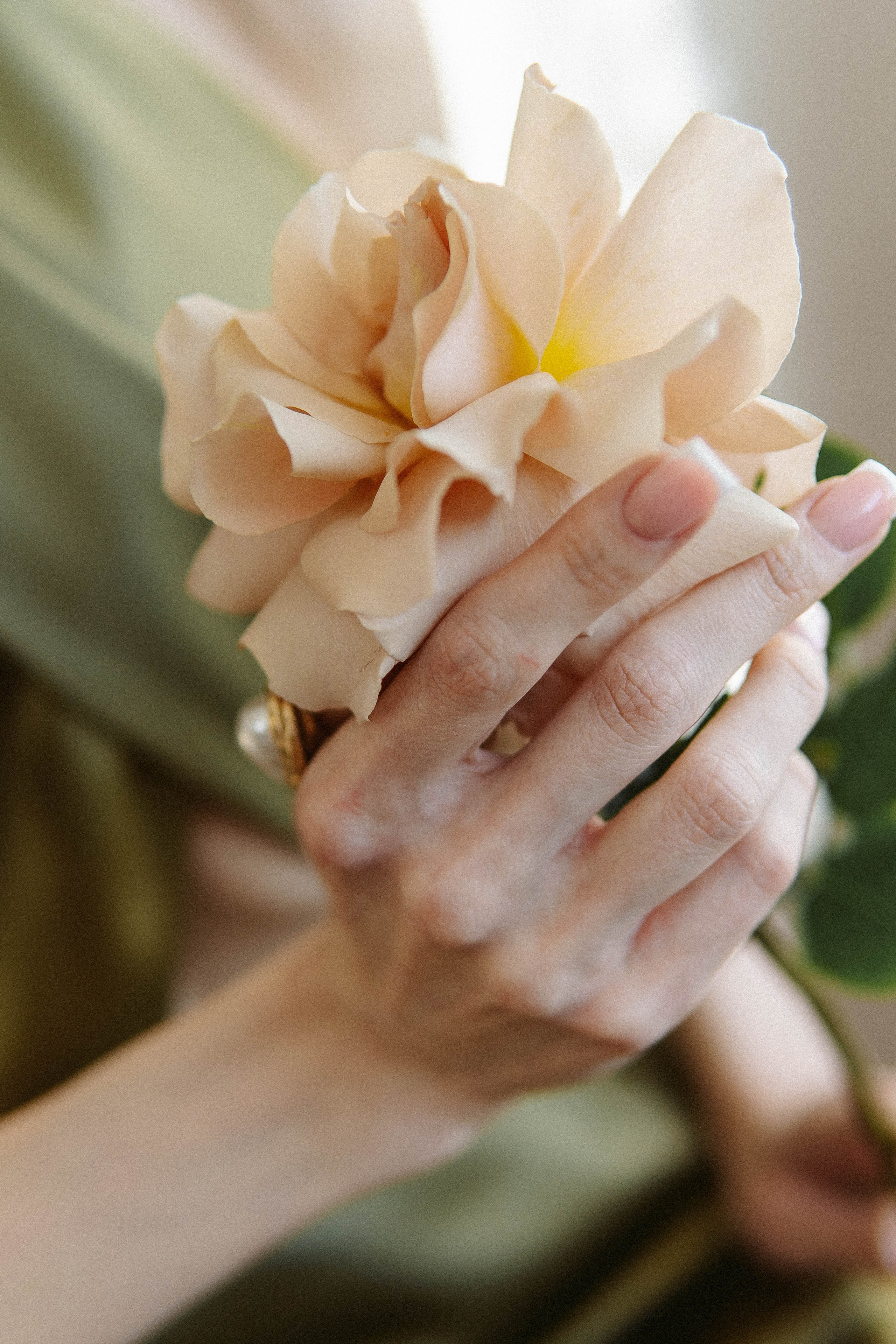 Виктория (прокат). Главная страница