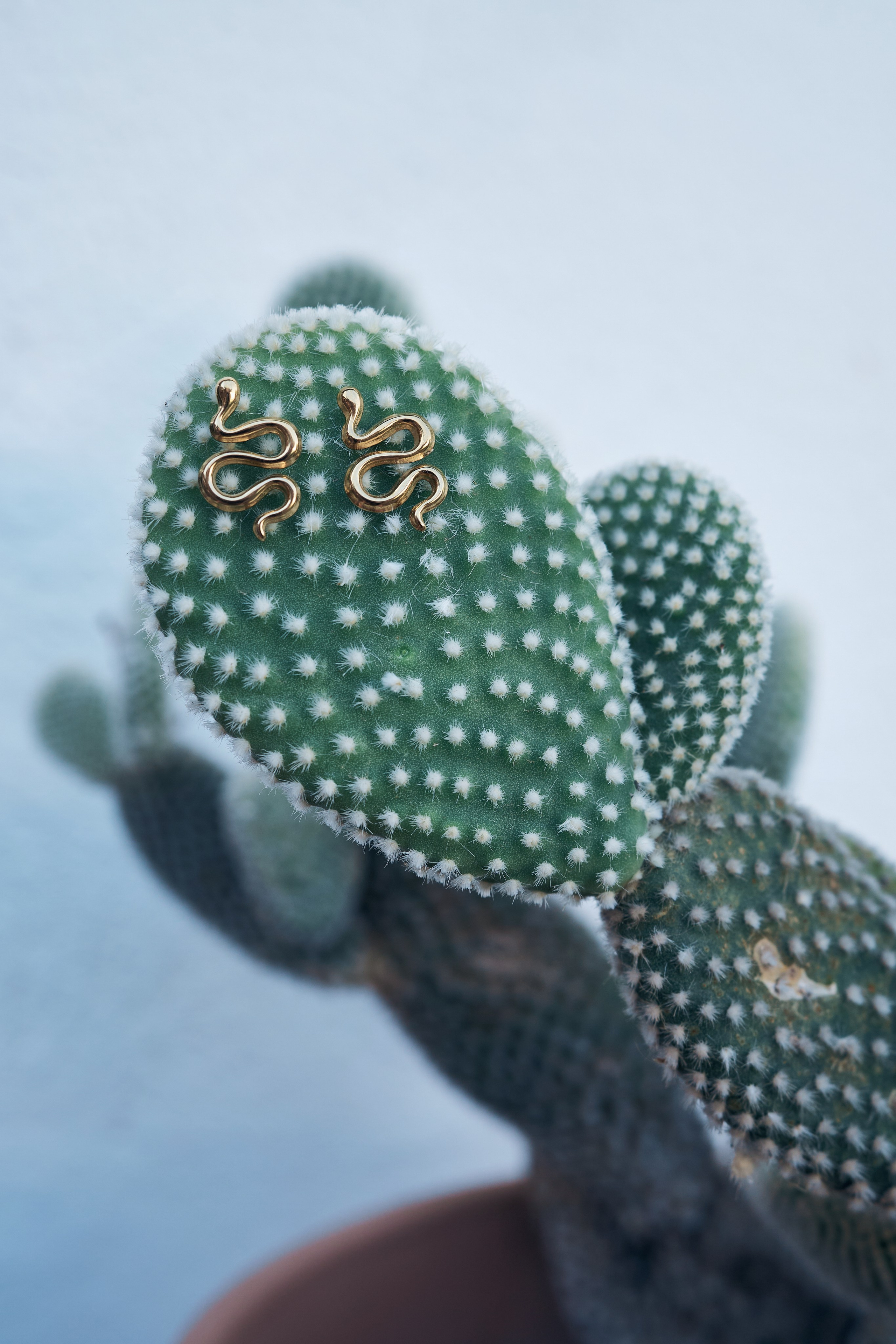 Art. Nadi Valiyeva | Fashion & Art Photographer