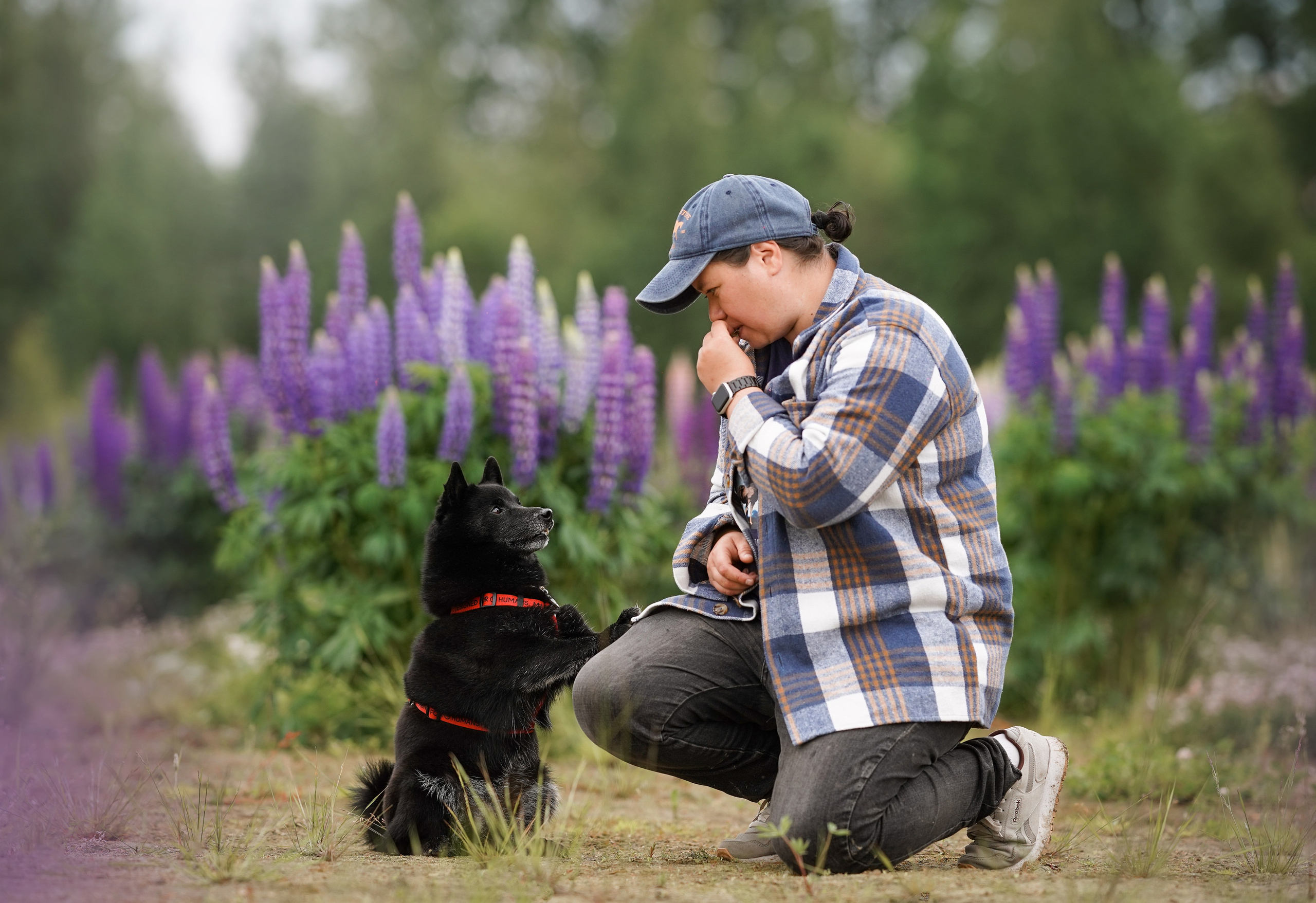 Аня Арчи и Панда в люпинах. Фотограф-анималист в Санкт-Петербурге Яна Мартынова