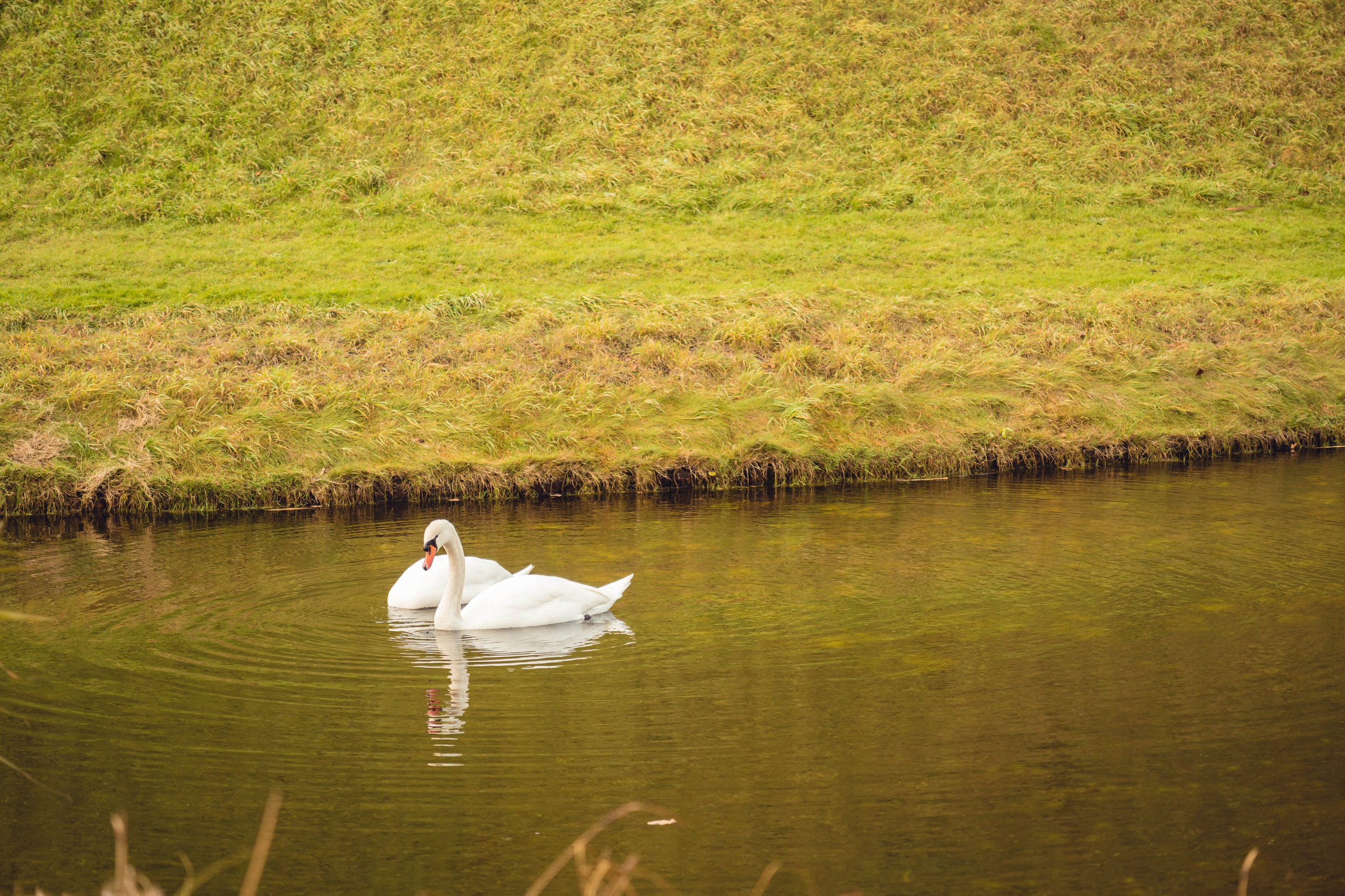 Дания. Фотографирую для себя, своей семьи и друзей!