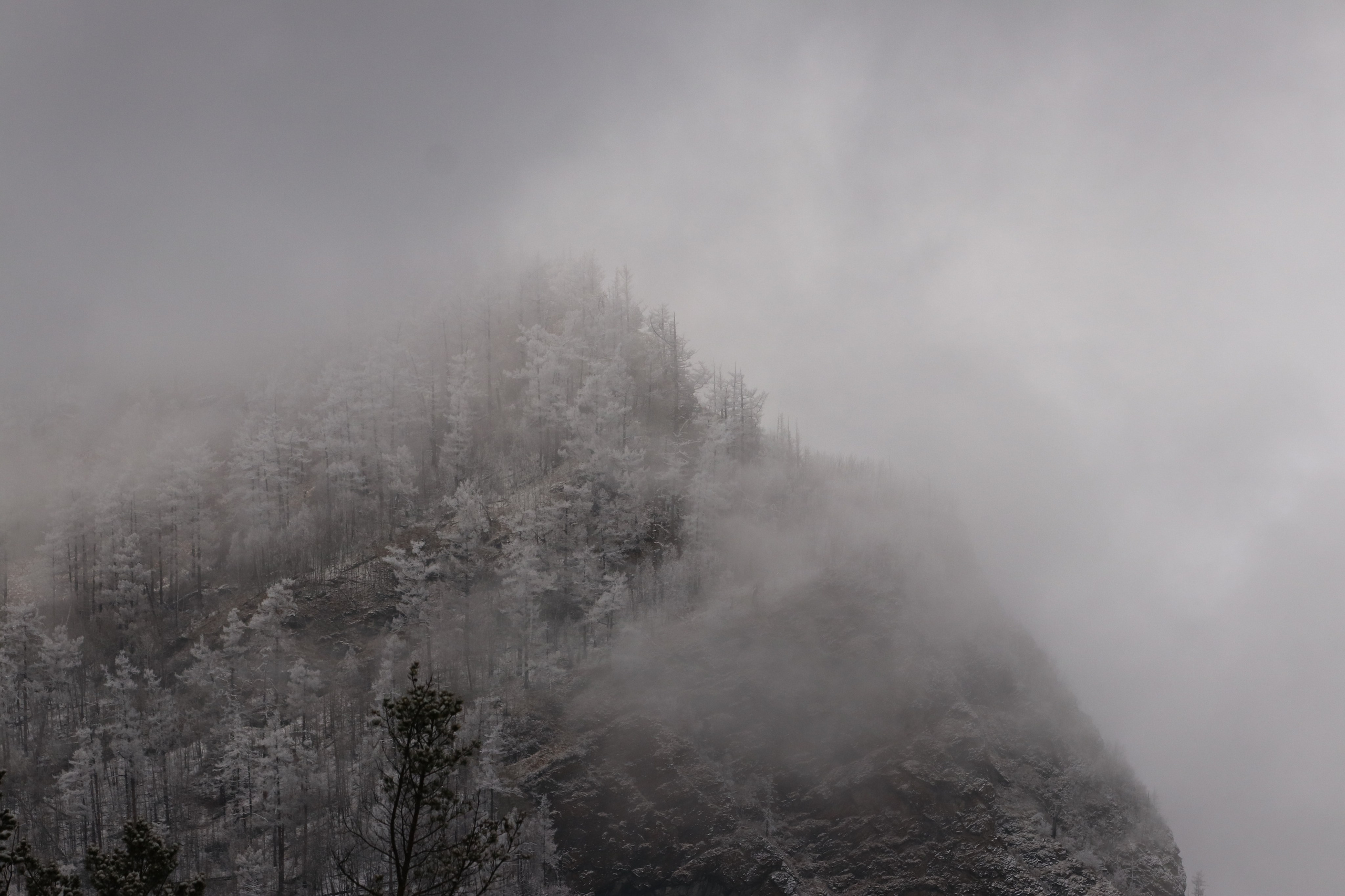 Аршан. Март 2023. Путешественник-фотограф из Санкт-Петербурга Татьяна Свистулина