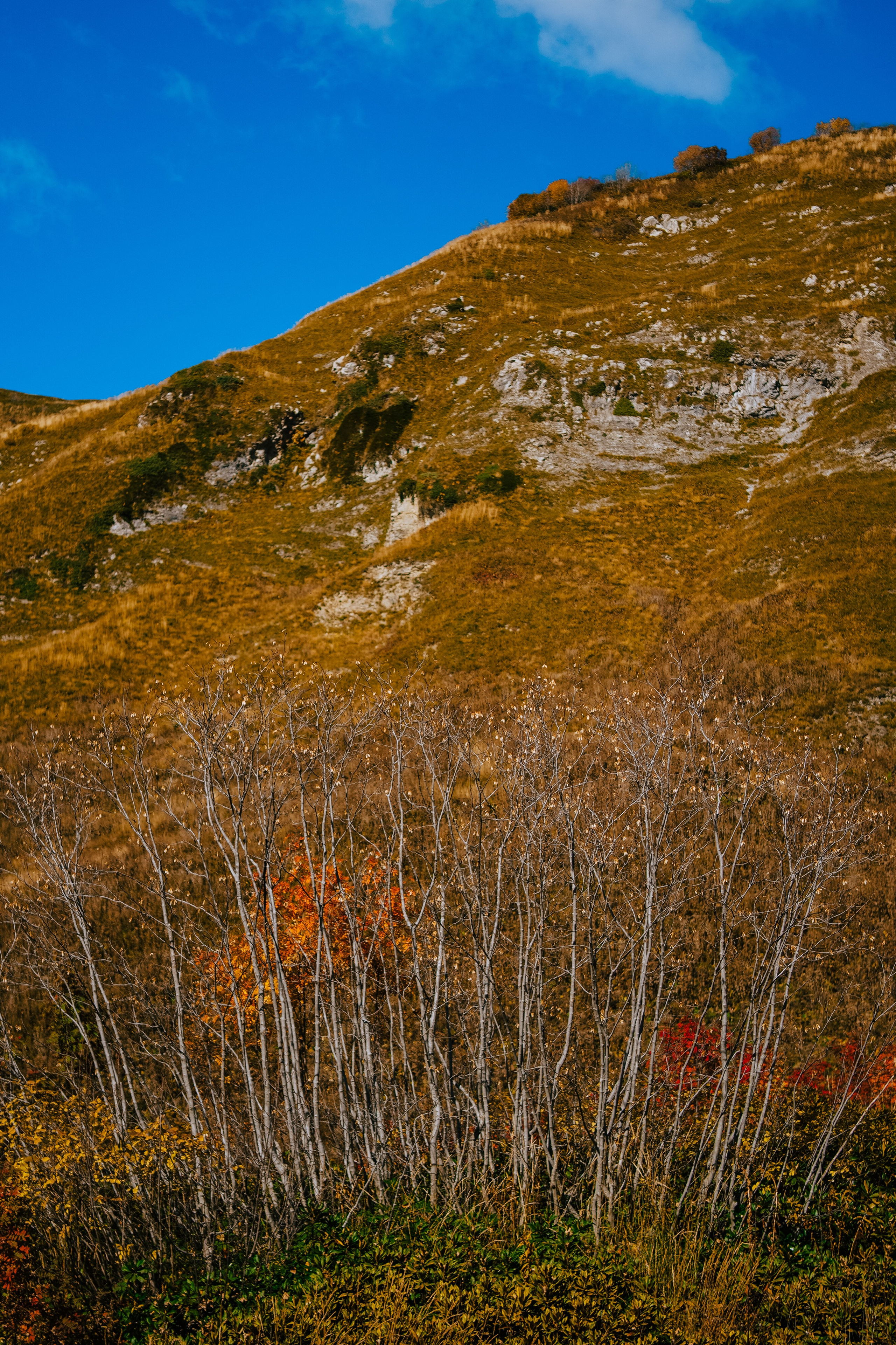 Роза Пик, тропа Турья ✽ Октябрь. Репортажный фотограф | Роза Хутор Красная Поляна Сочи Сириус