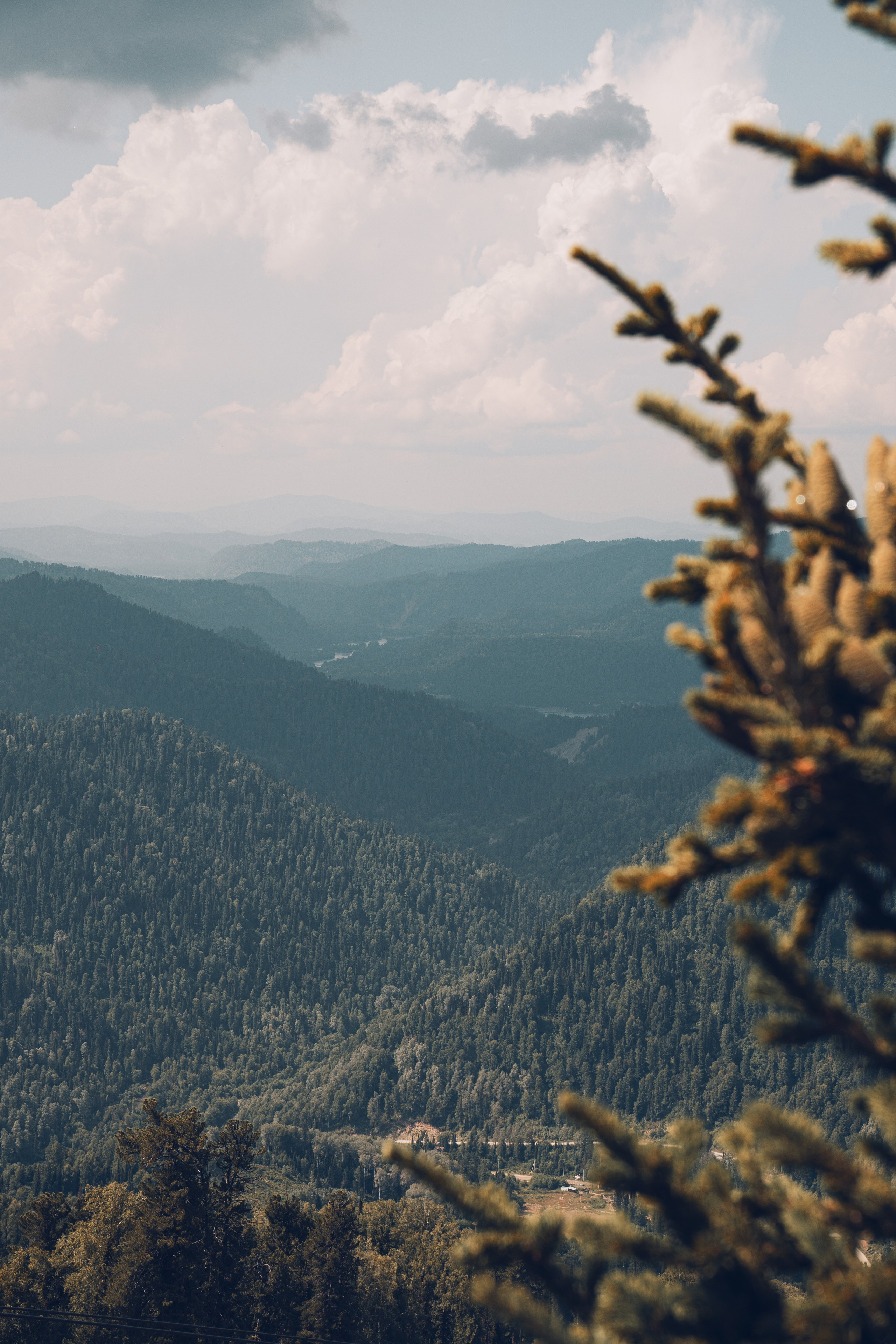 Алтай. Gusarov Travel Photography