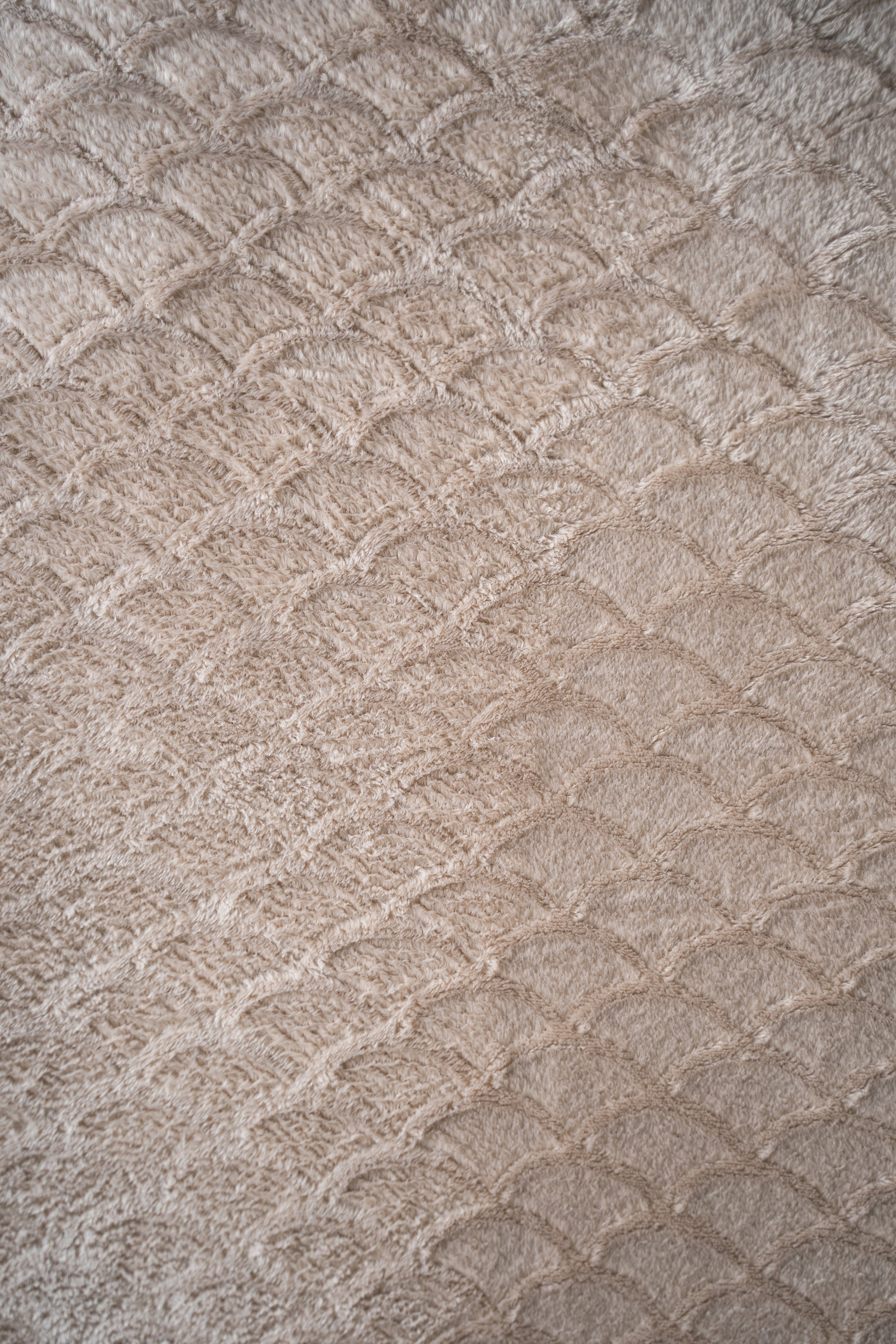 Пледный контент. Визуальный художник «Границы внутри»