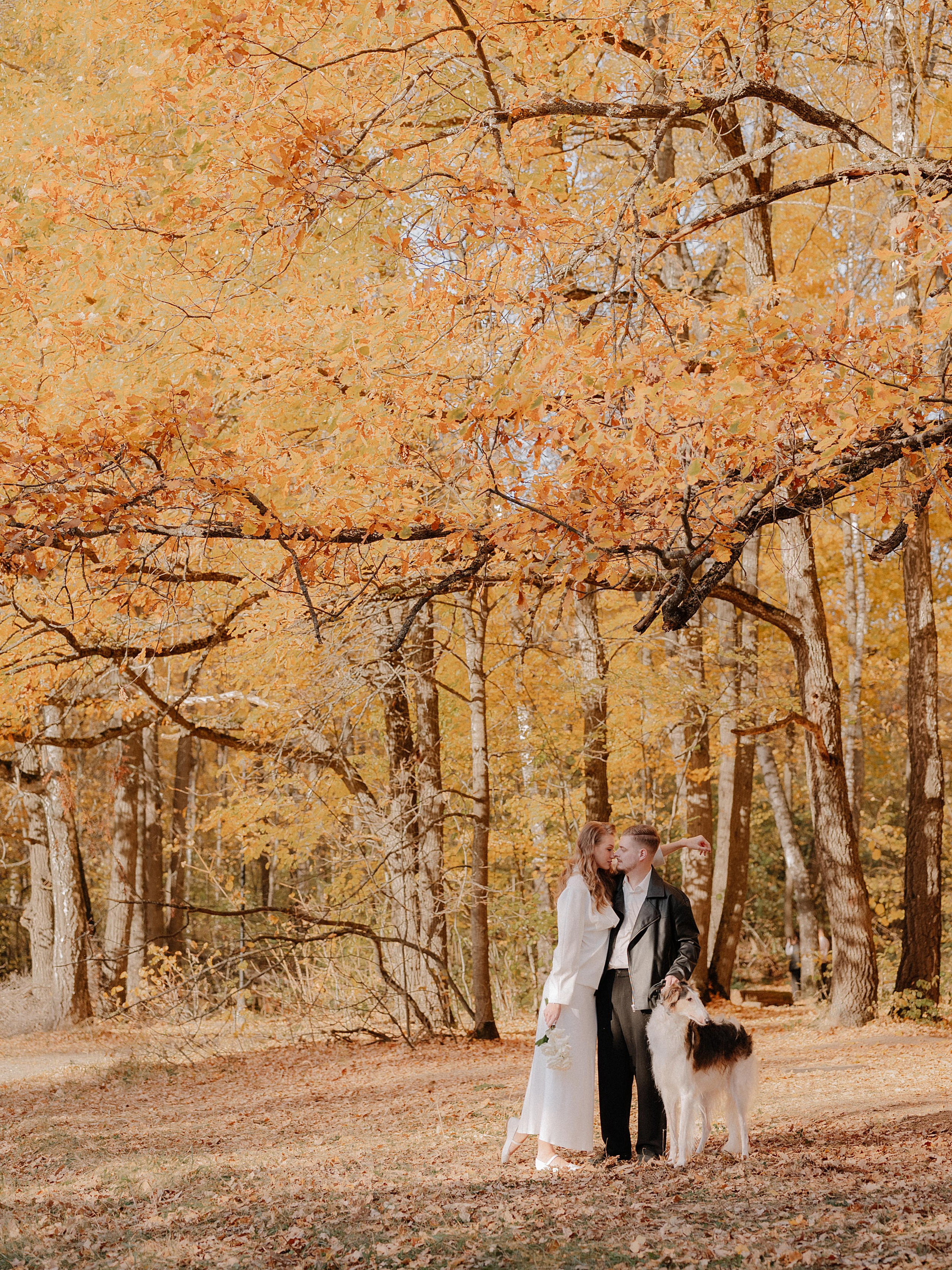 Love with October falling leaves. Фотограф Пенза