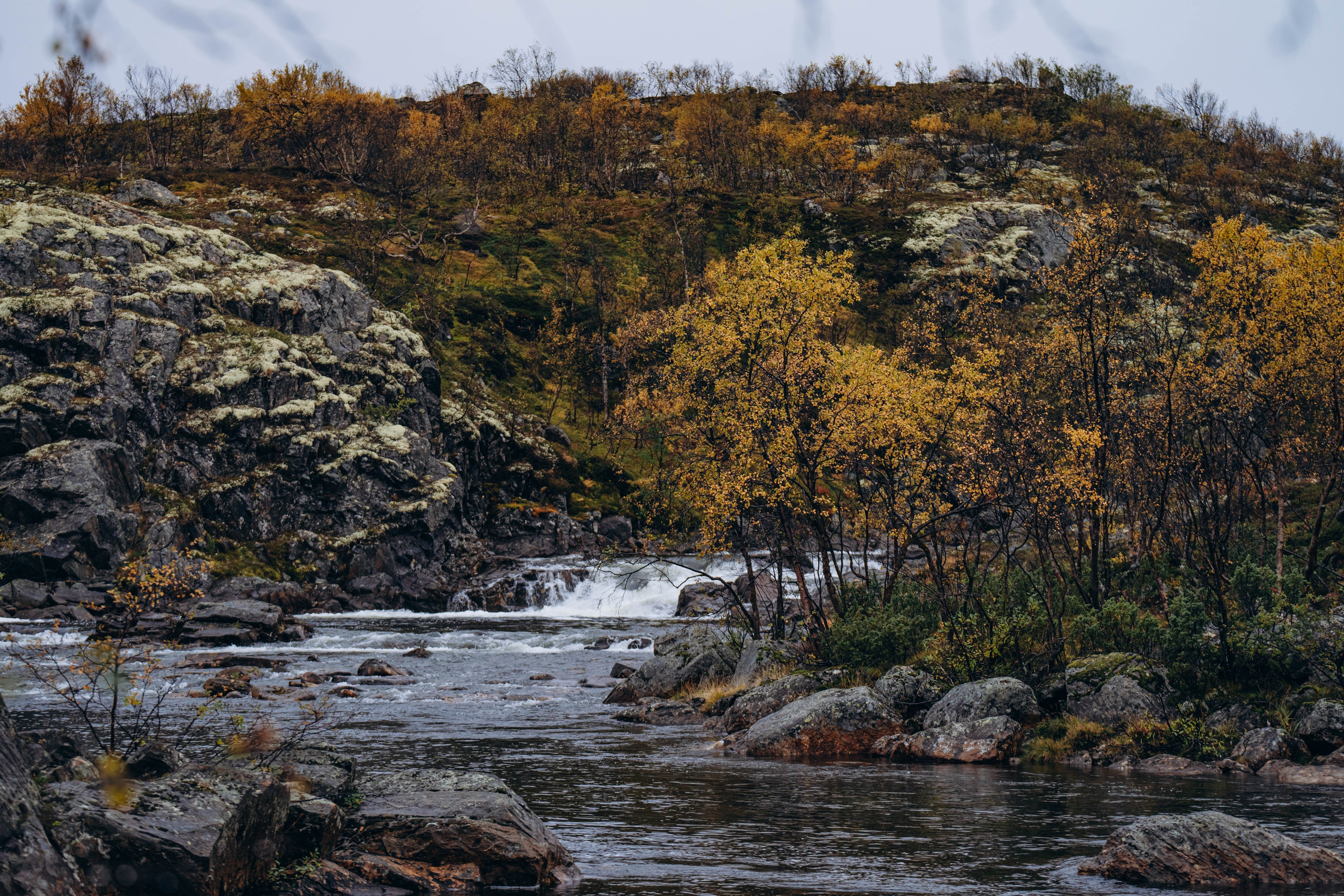 СЕВЕР. Event фотограф Степанова Александра