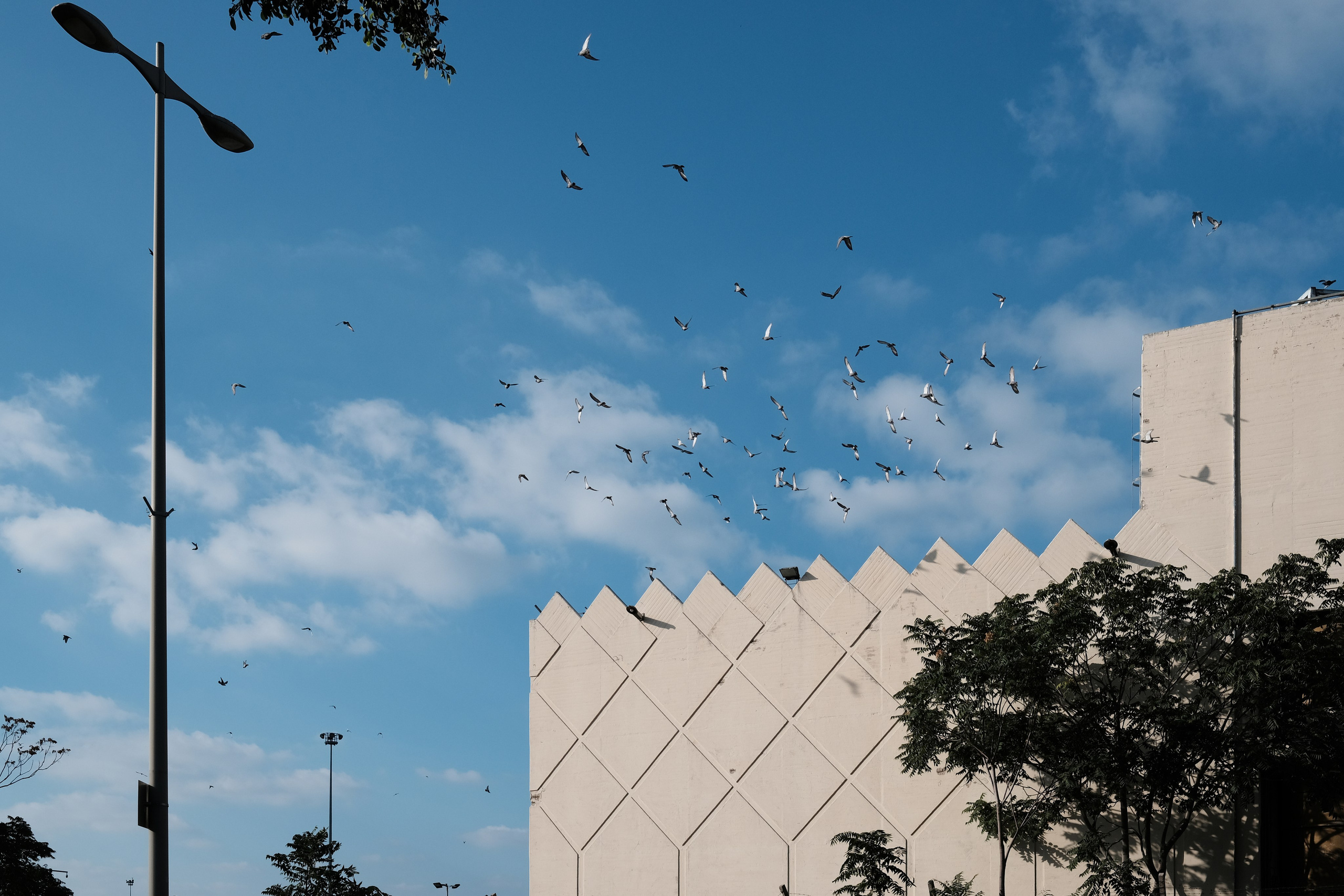 Фотографии Хайфы | Филипп Линзин. Репортажный и портретный фотограф в Санкт-Петербурге Филипп Линзин